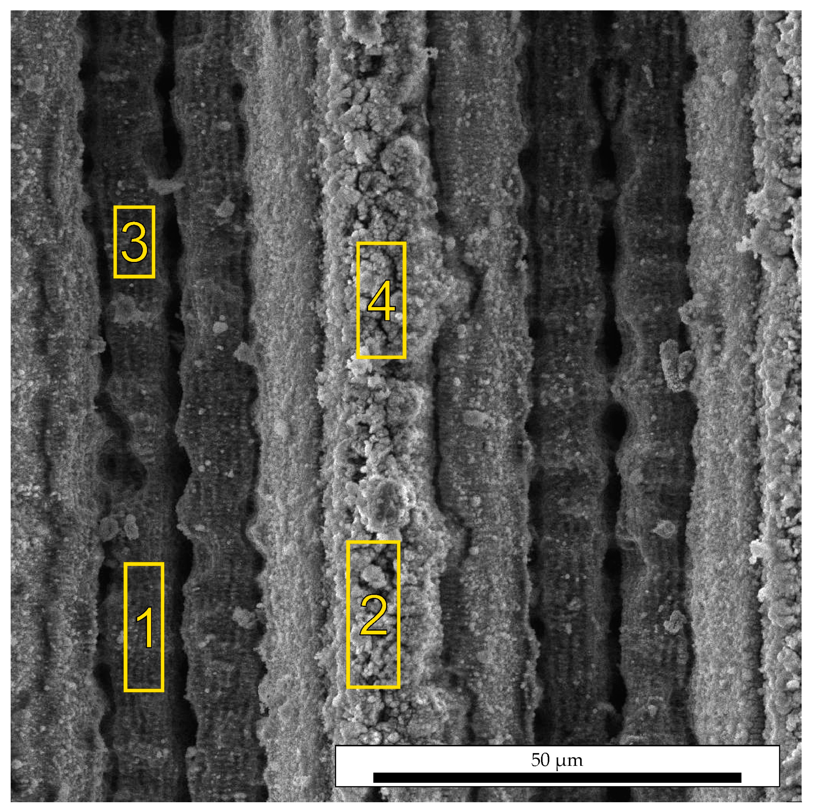 Coatings 13 01104 g006