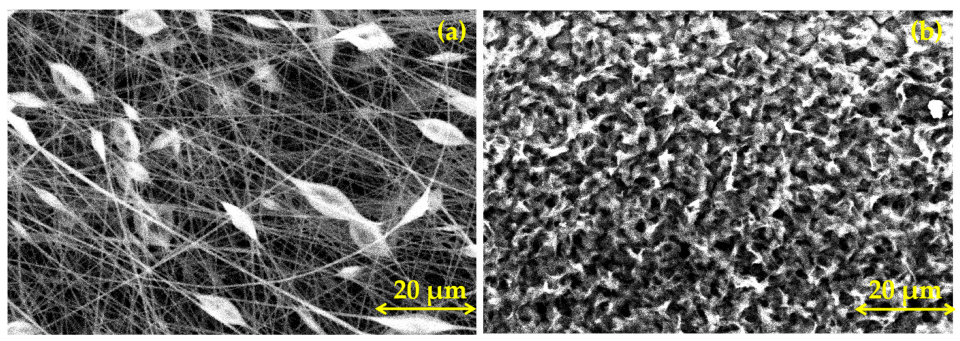 Coatings 13 01105 g001