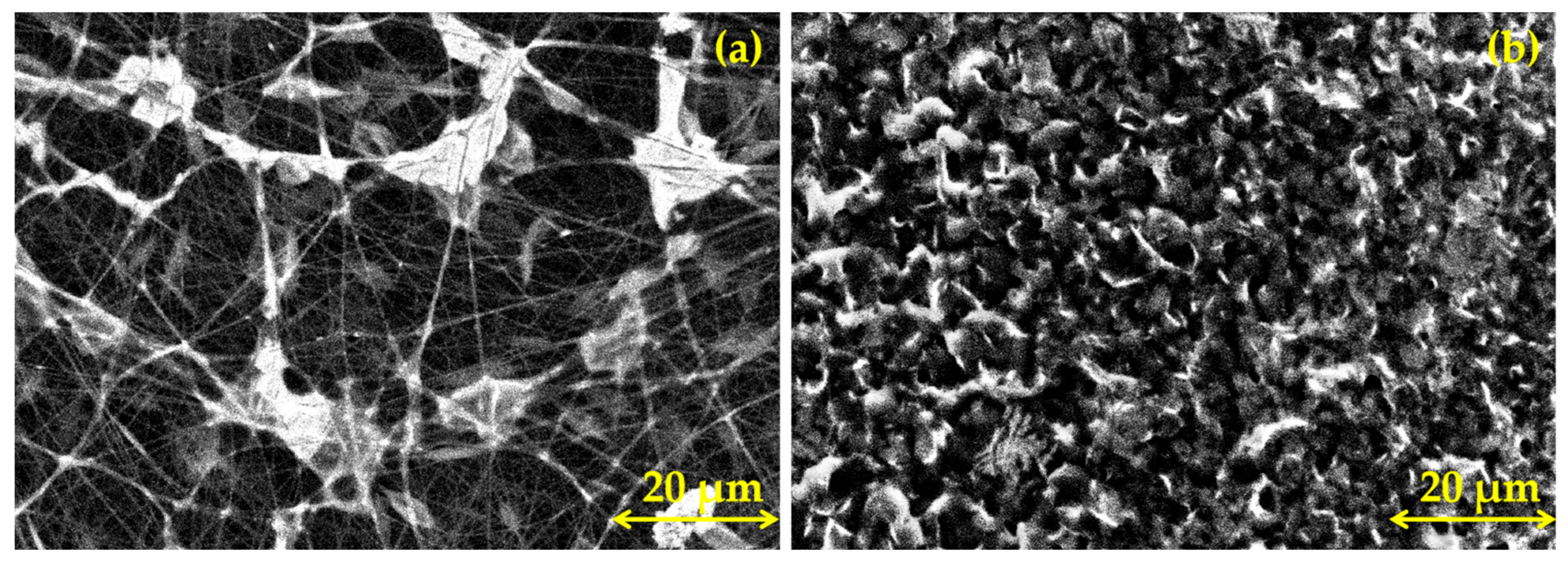 Coatings 13 01105 g008