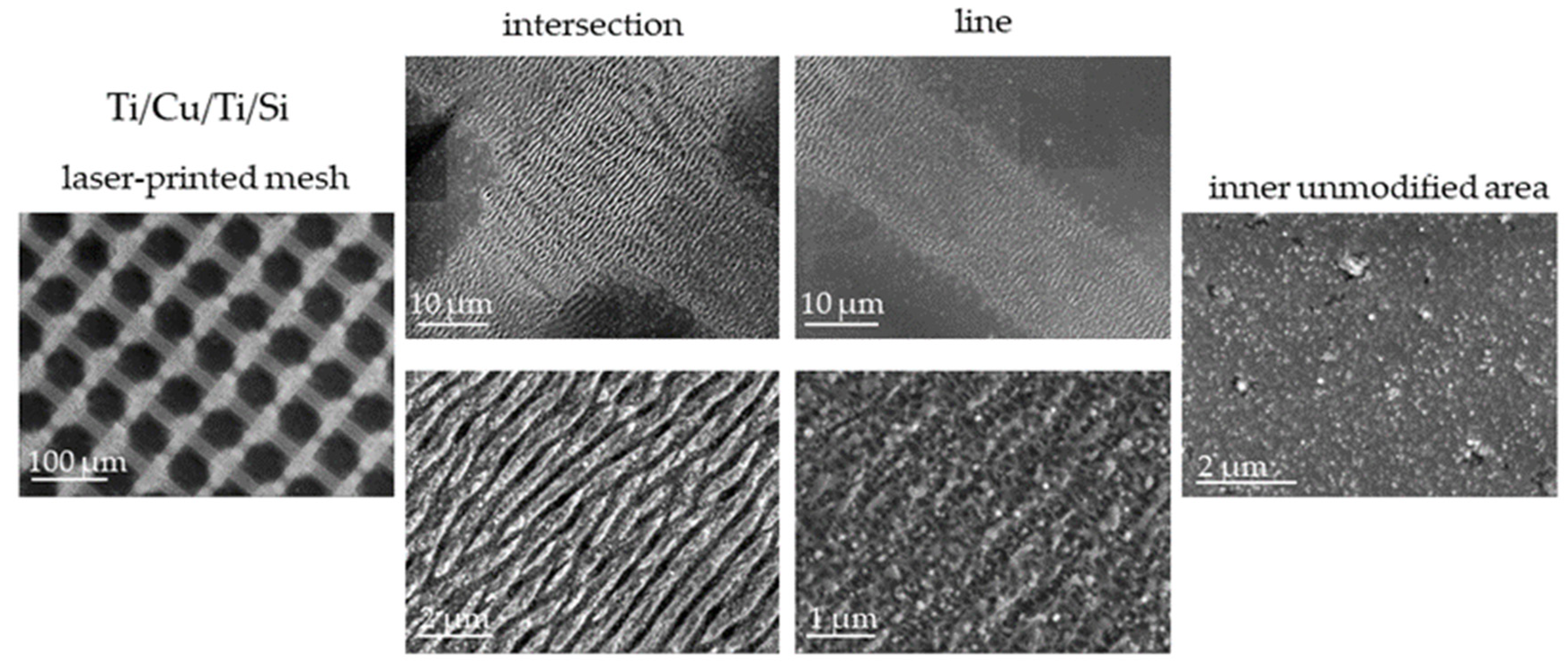Coatings 13 01107 g002