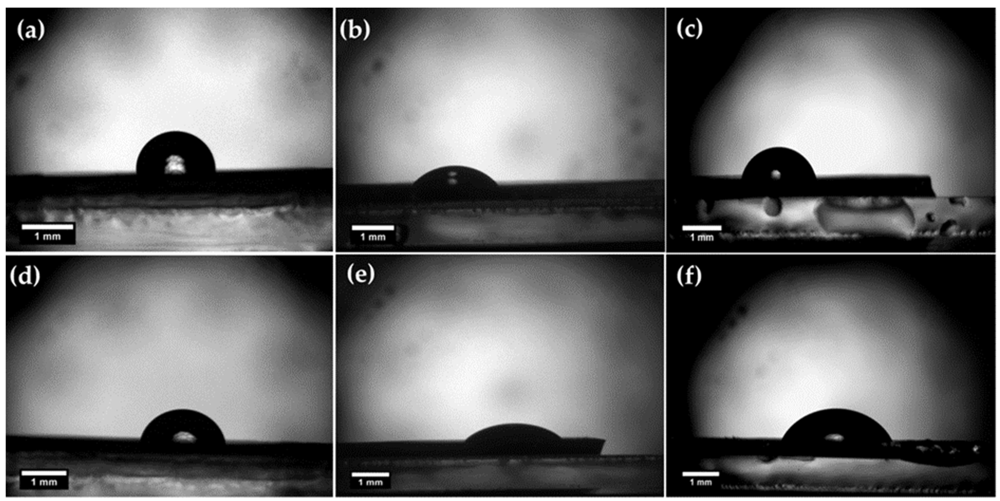 Coatings 13 01107 g005