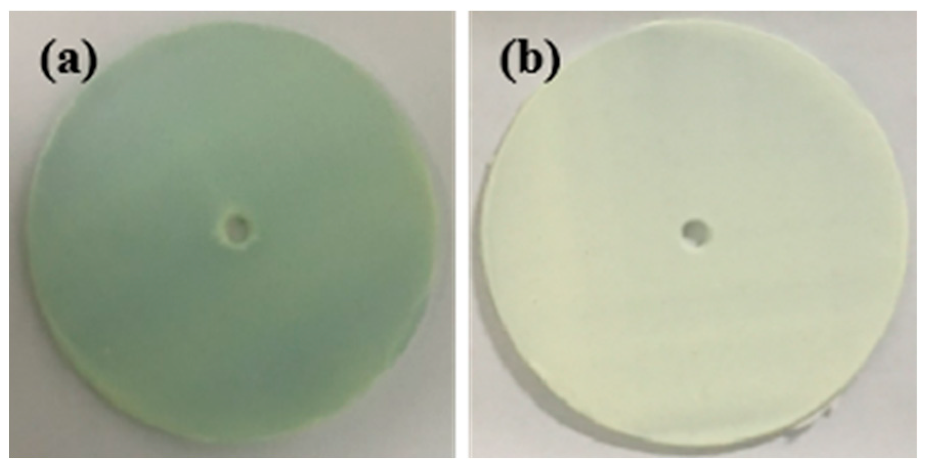 Coatings 13 01108 g010