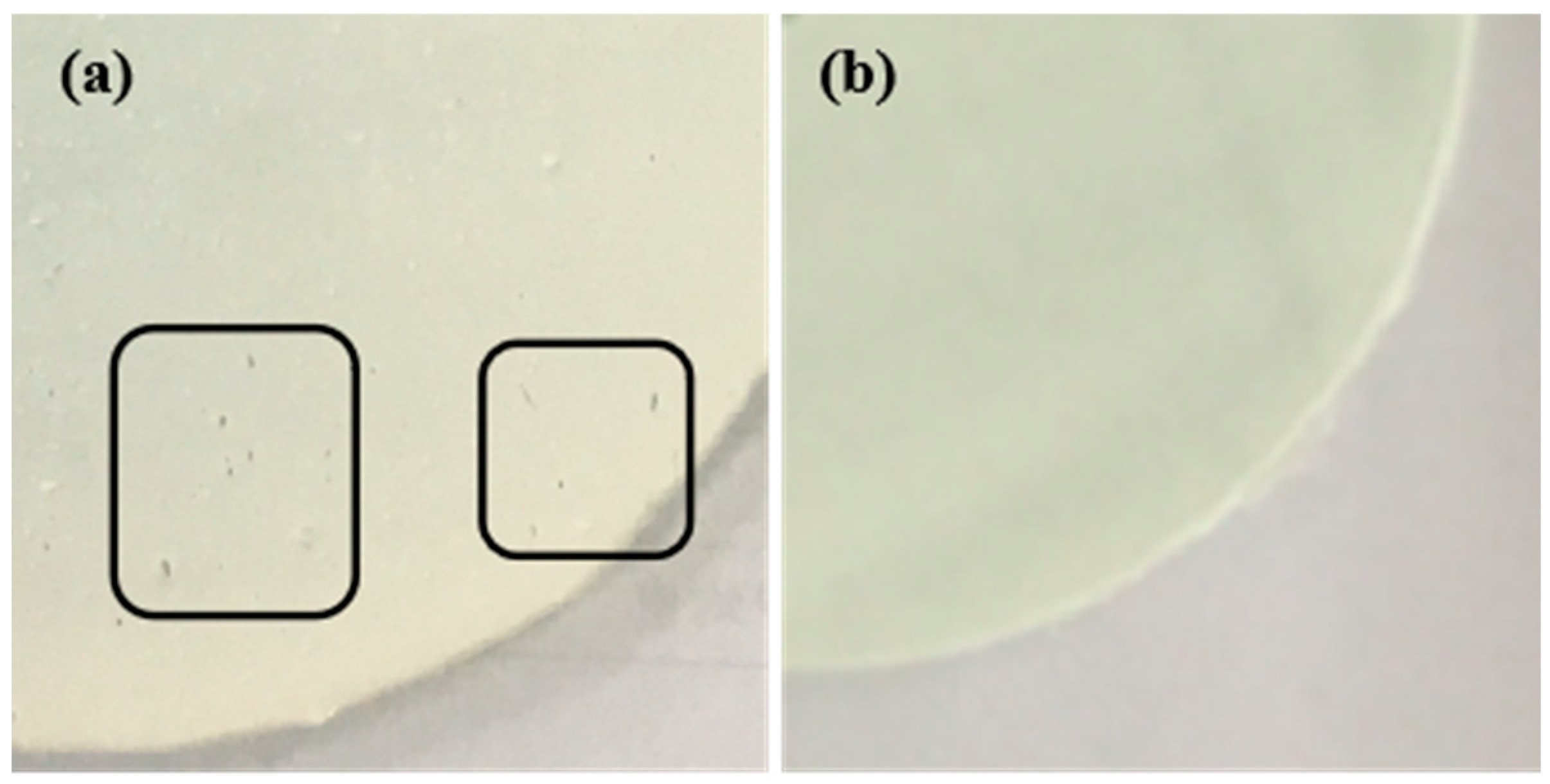 Coatings 13 01108 g014