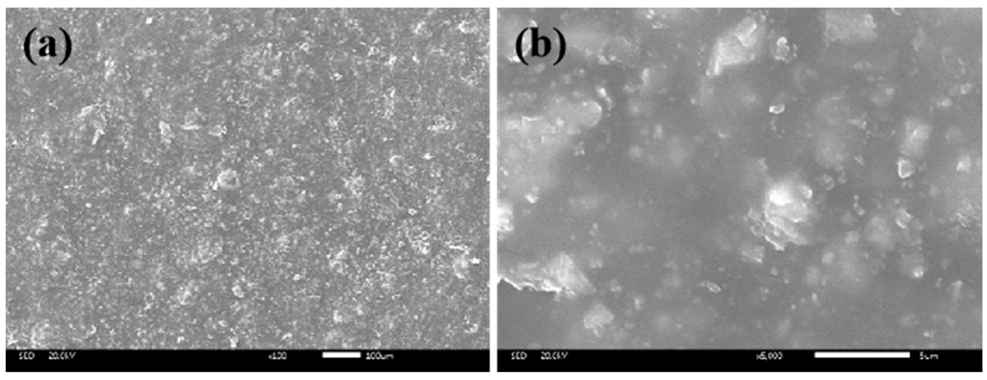 Coatings 13 01108 g020