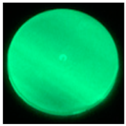 Coatings 13 01108 i004