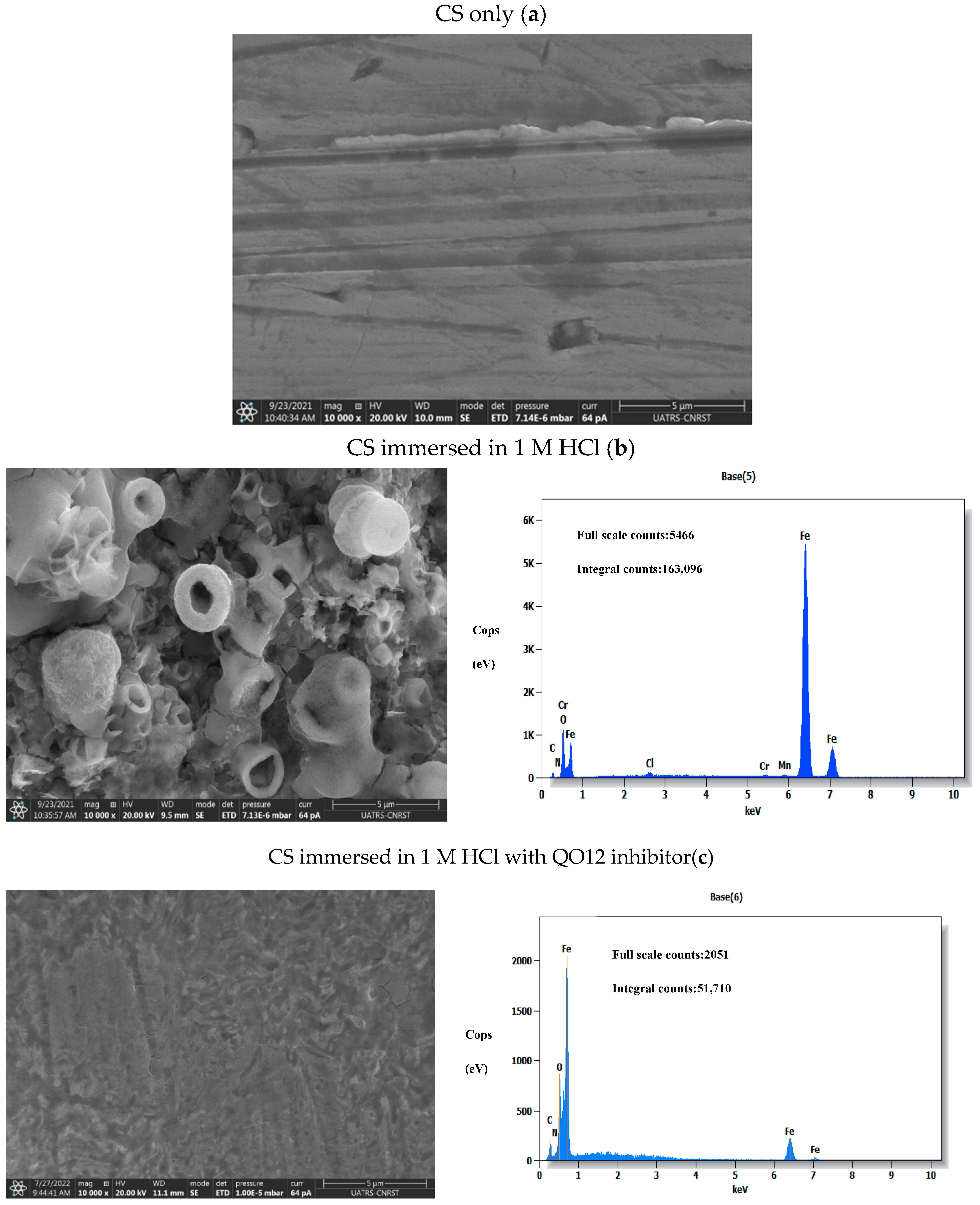 Coatings 13 01109 g010