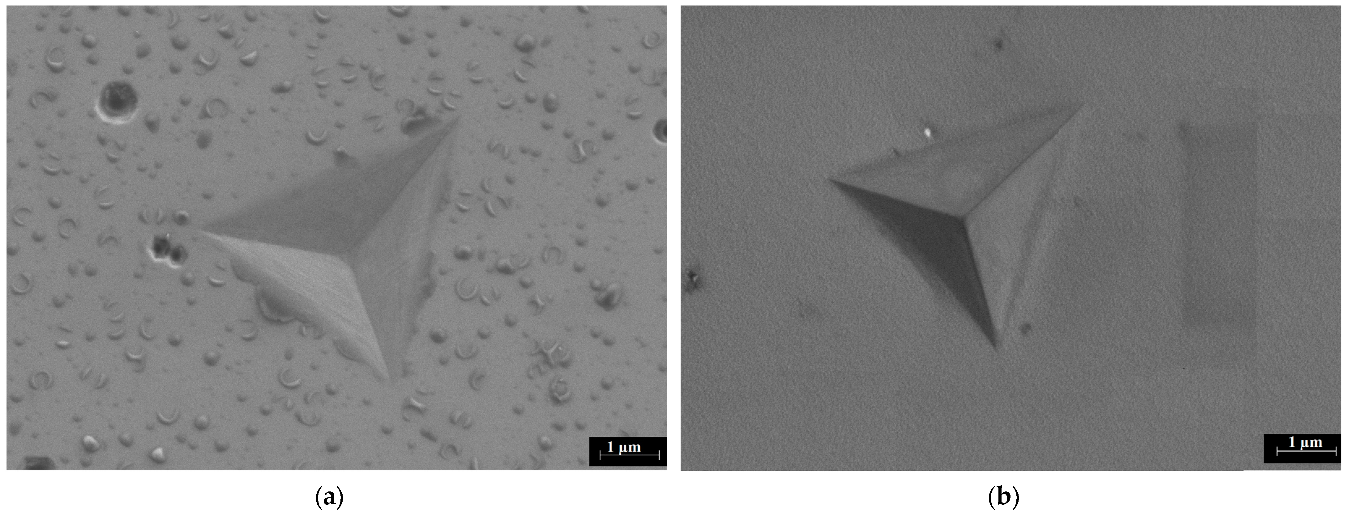 Coatings 13 01111 g006