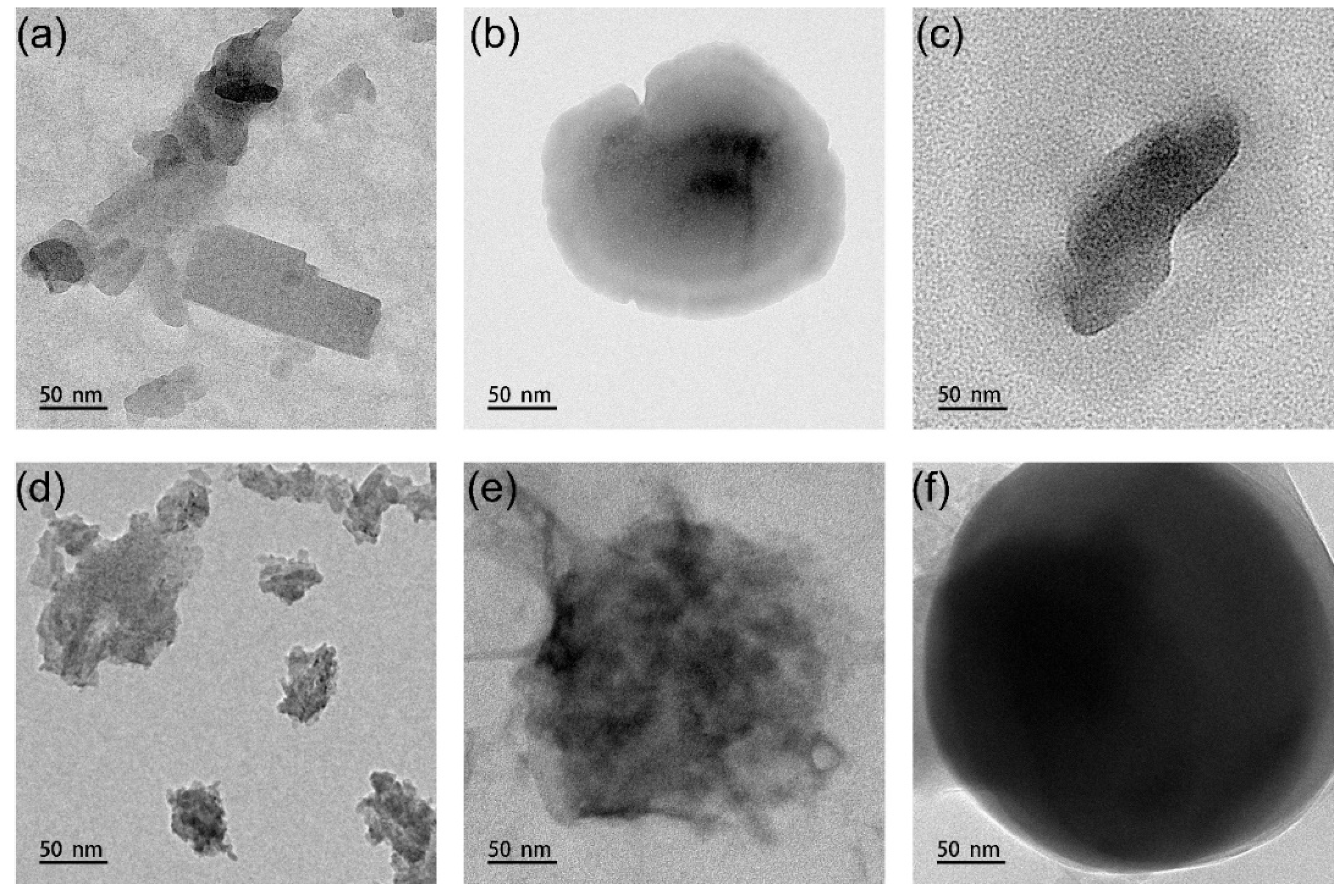 Coatings 13 01114 g004