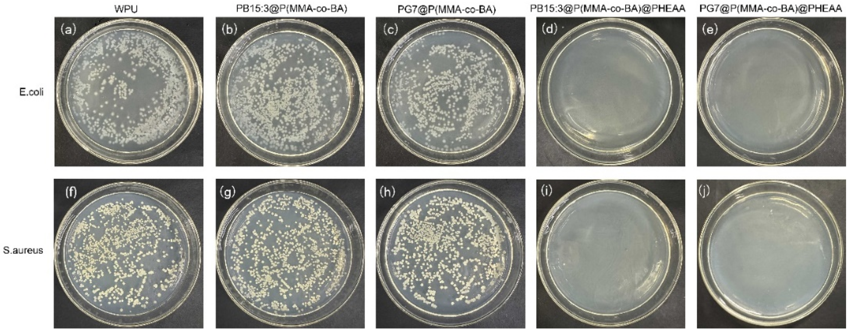 Coatings 13 01114 g007