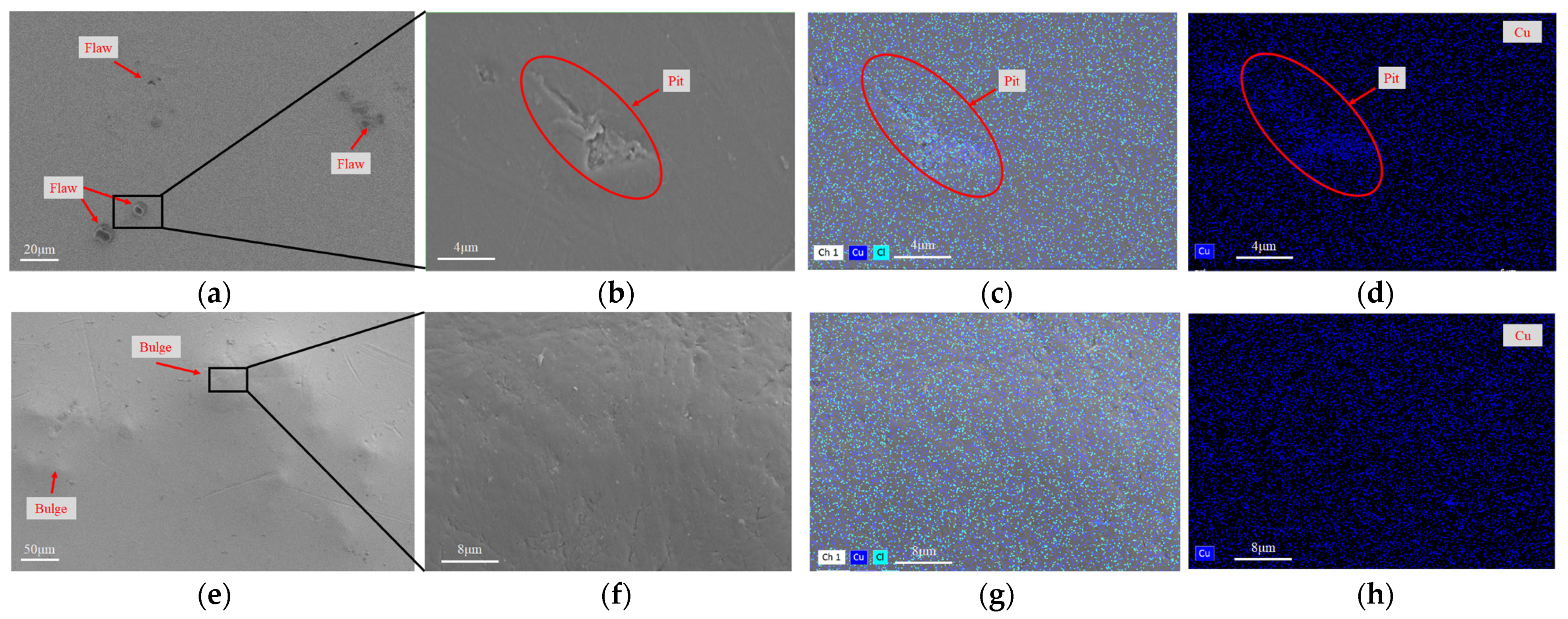 Coatings 13 01116 g001