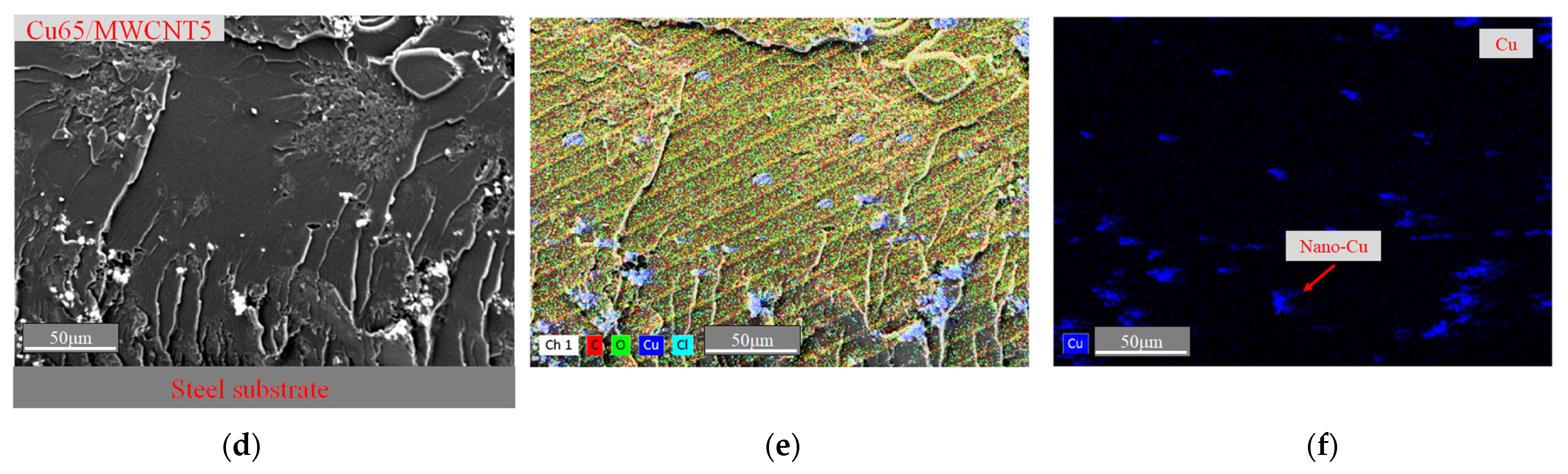 Coatings 13 01116 g002b