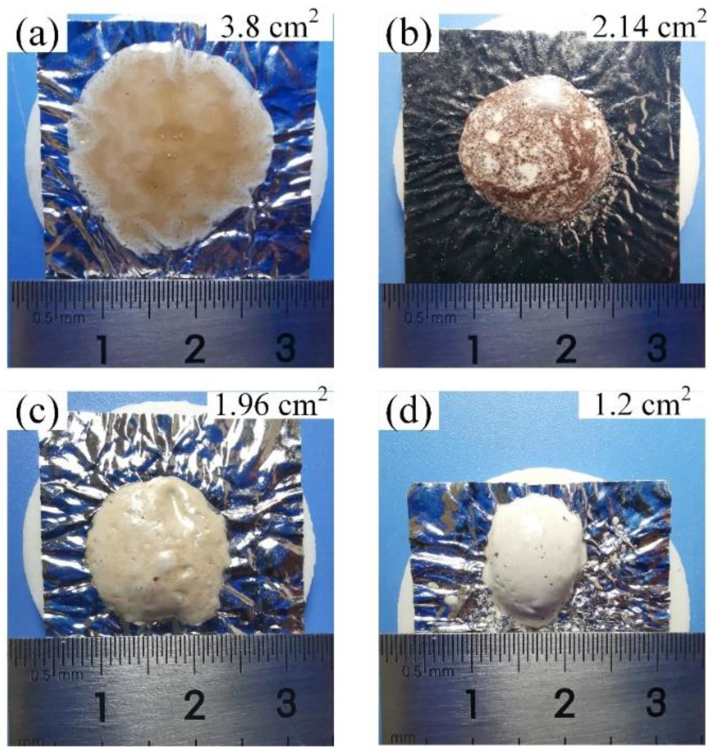 Coatings 13 01119 g002