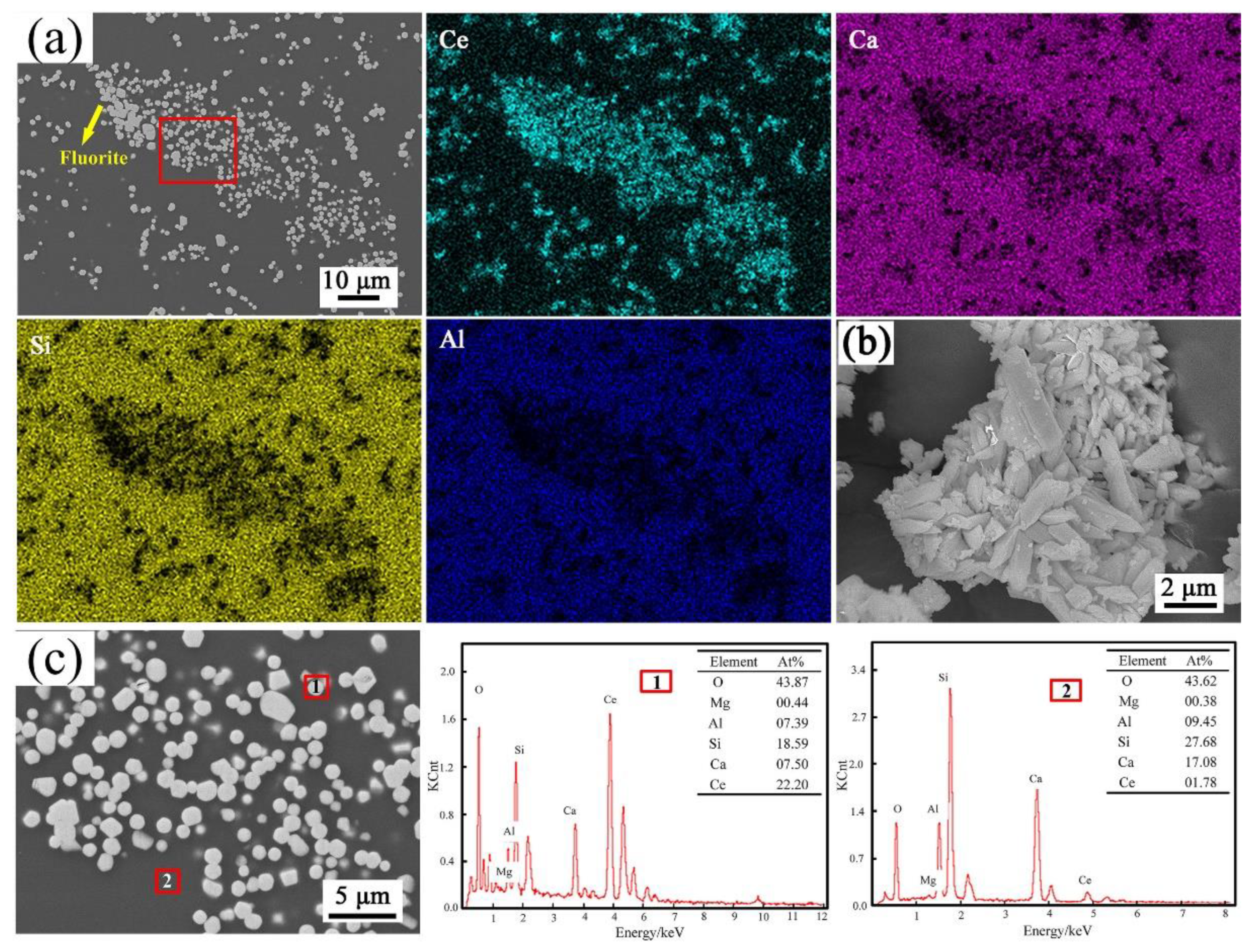 Coatings 13 01119 g005
