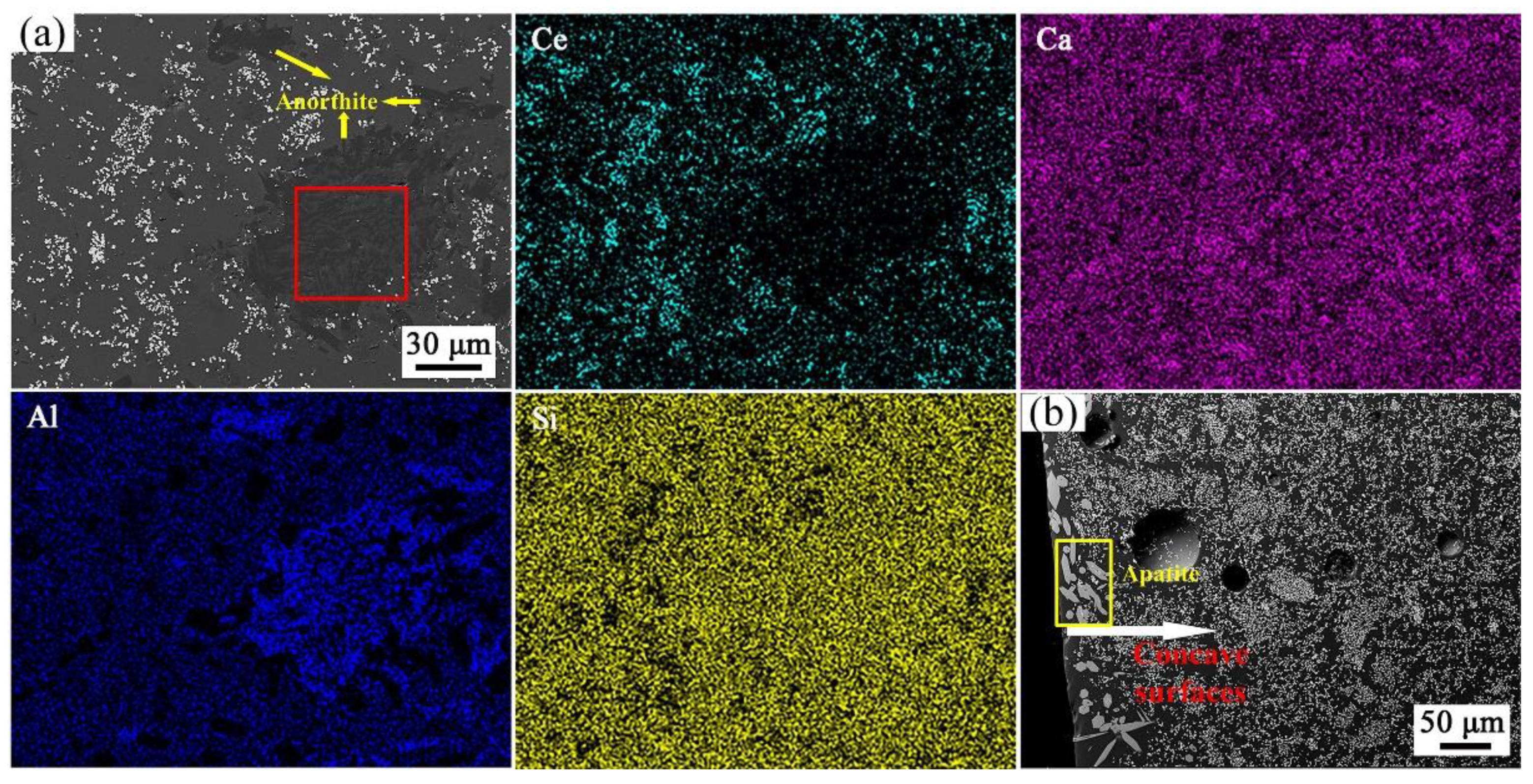 Coatings 13 01119 g007
