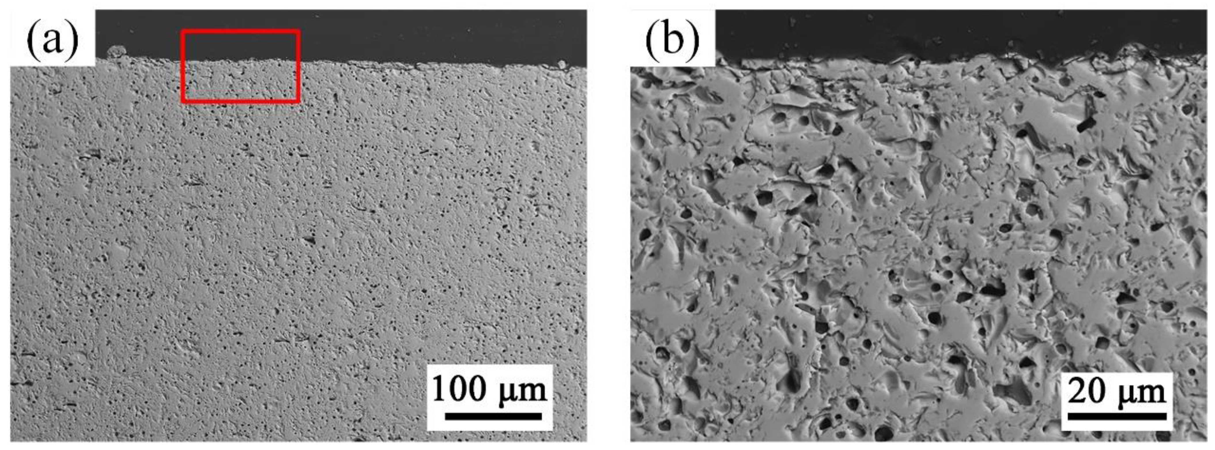 Coatings 13 01119 g009