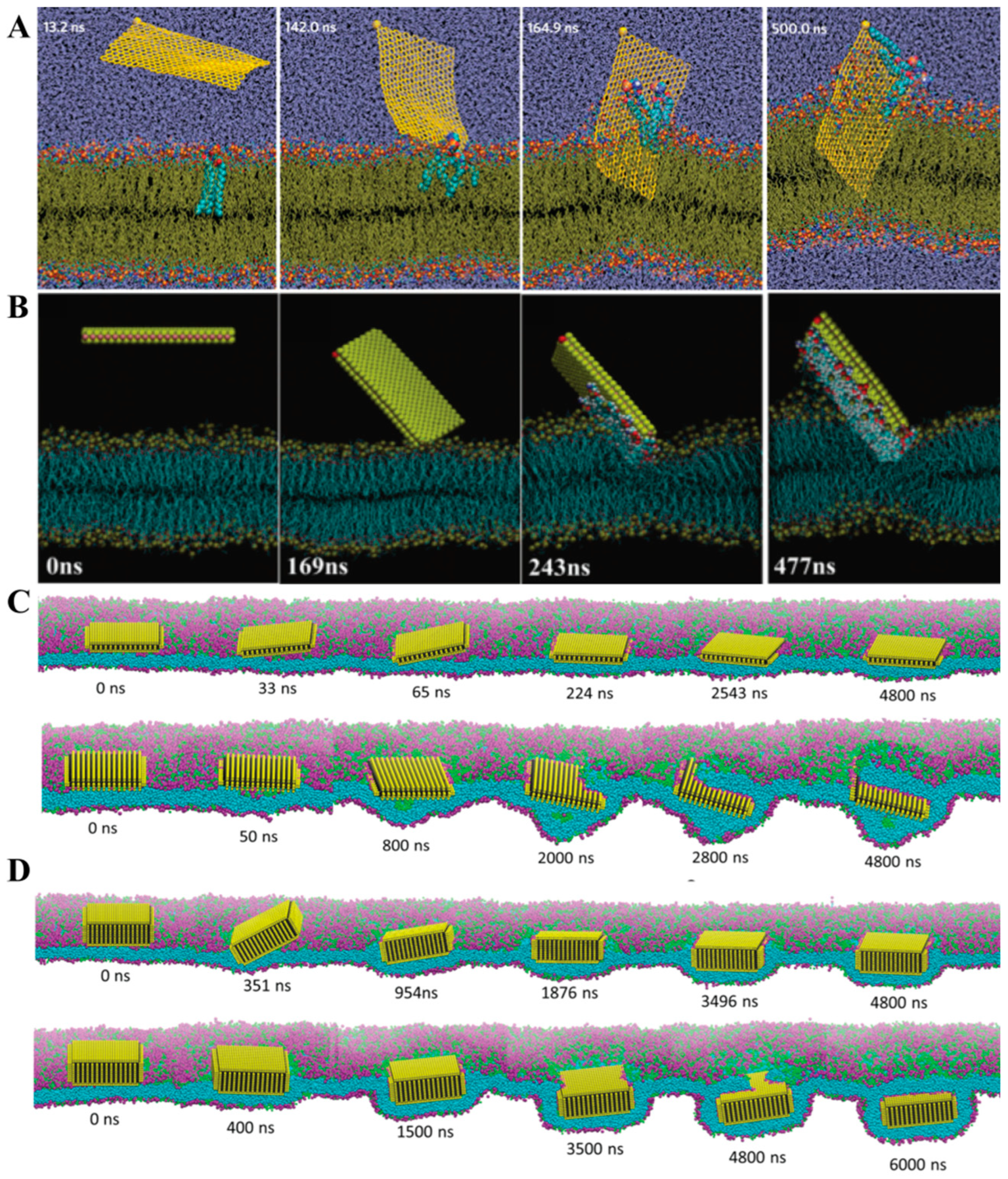 Coatings 13 01122 g005