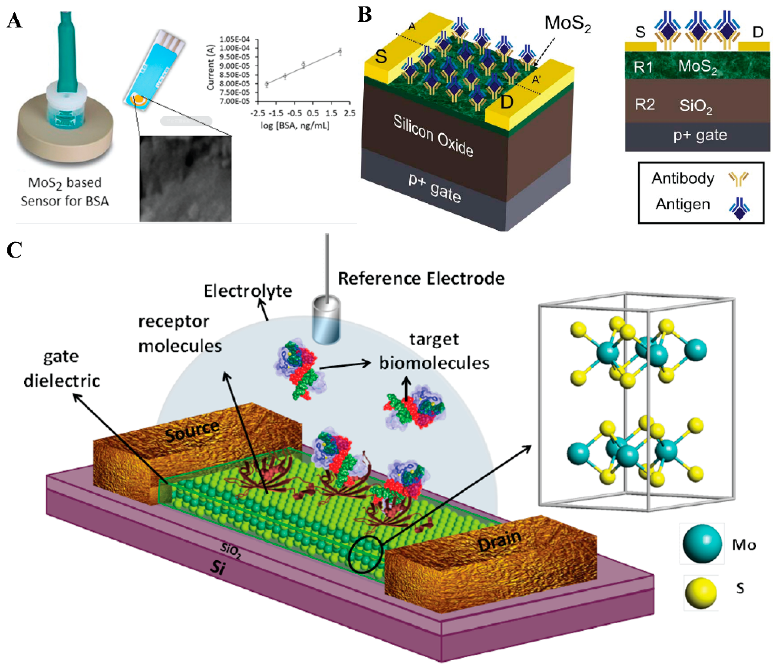 Coatings 13 01122 g007