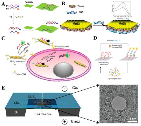 Coatings 13 01122 g008