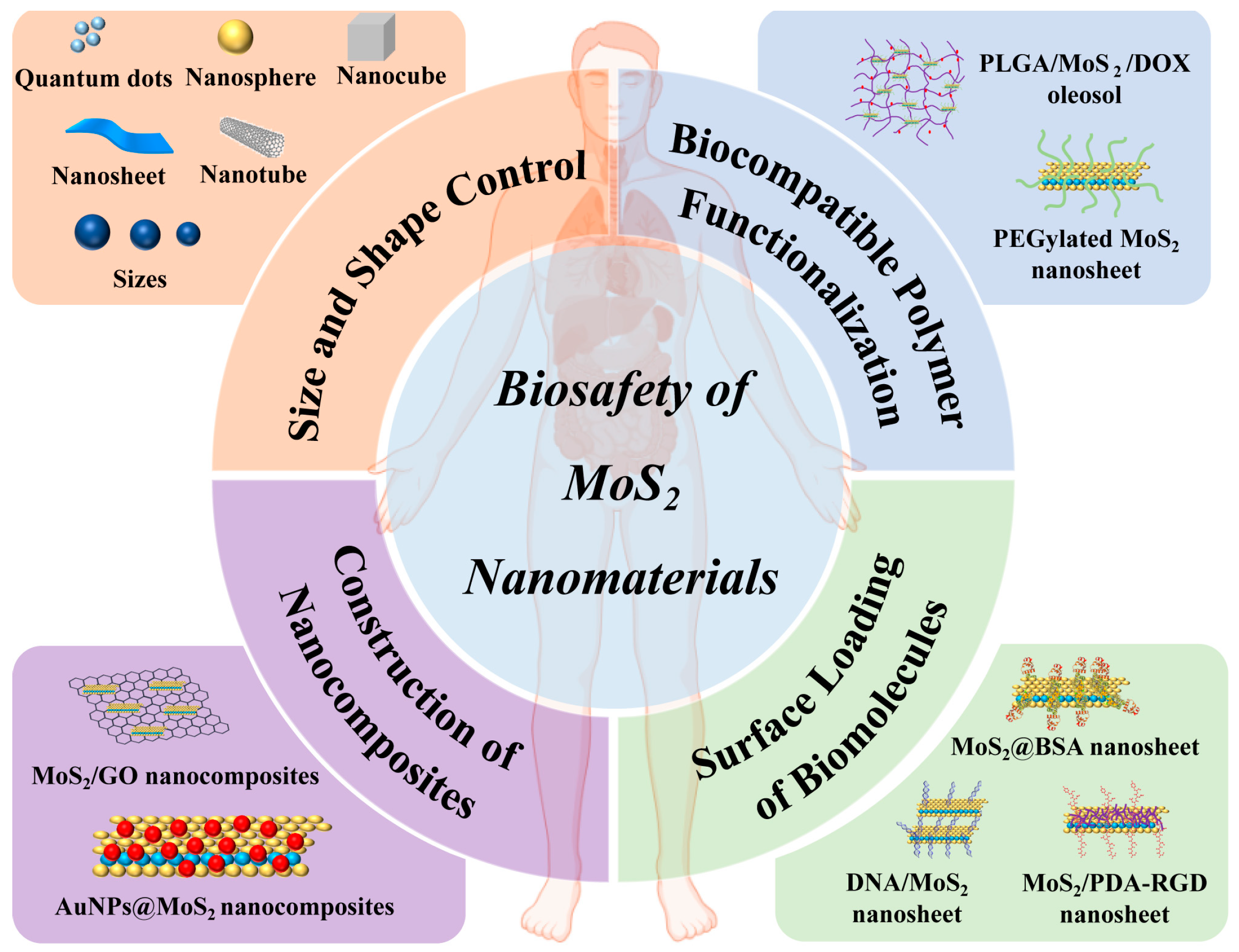 Coatings 13 01122 g011