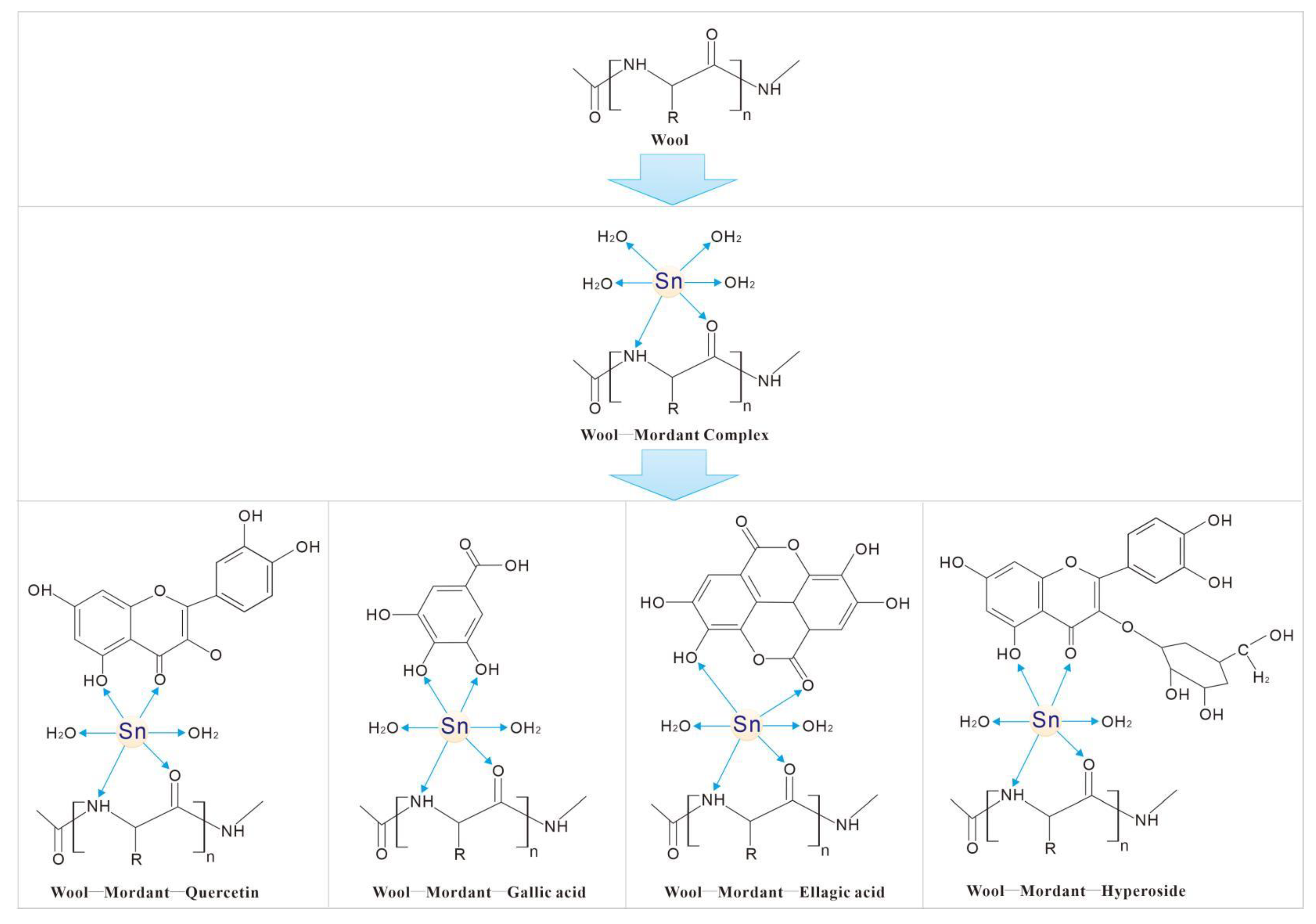 Coatings 13 01125 g005