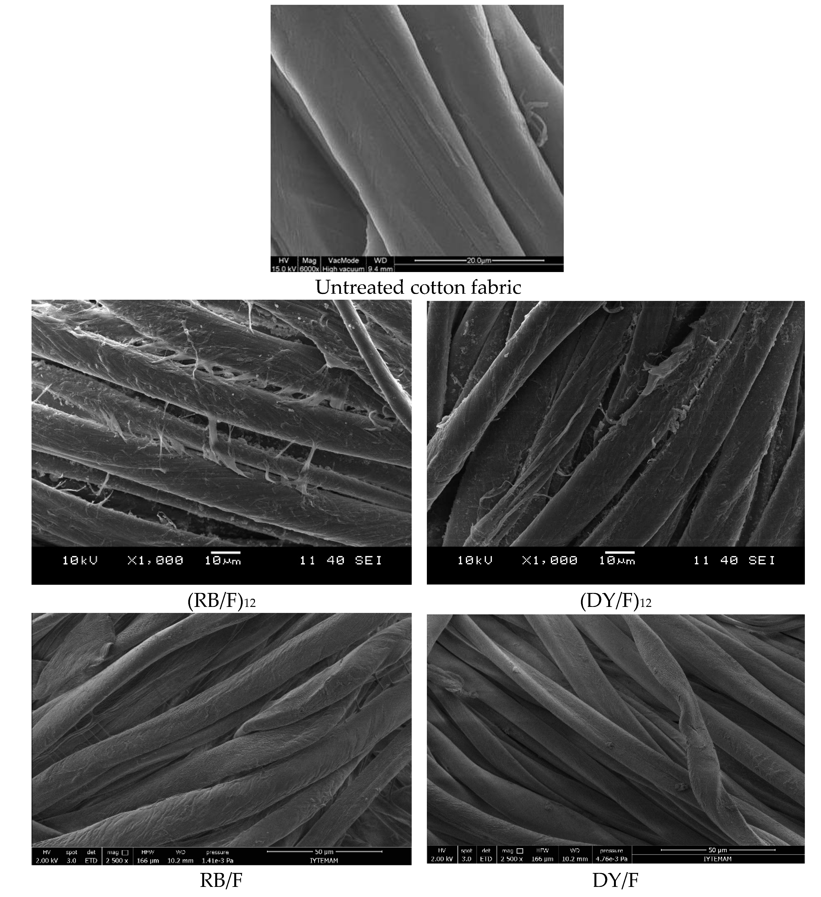 Coatings 13 01129 g002