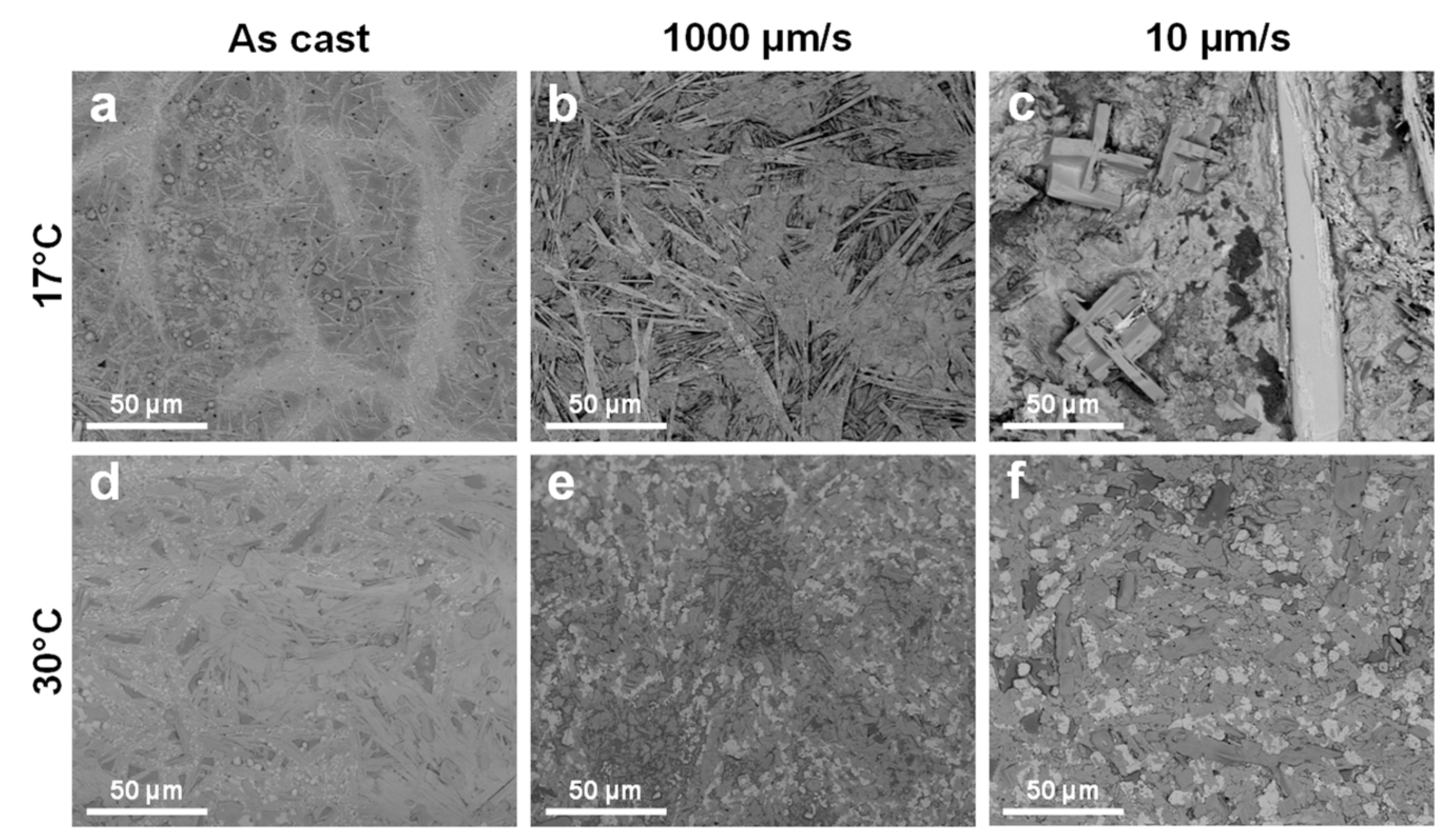 Coatings 13 01130 g002