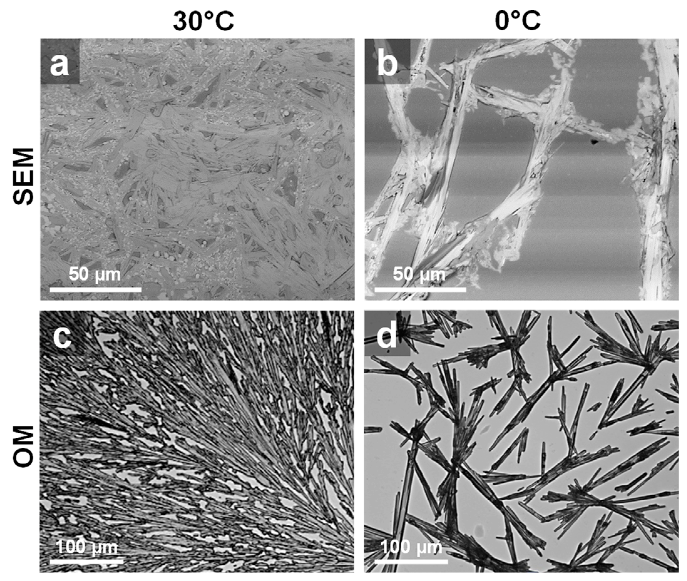 Coatings 13 01130 g004