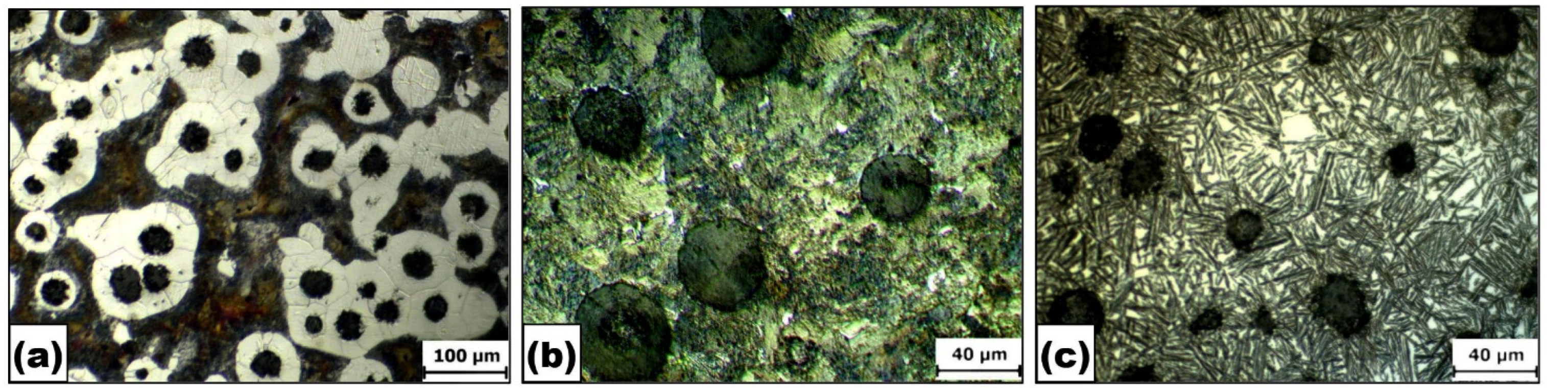 Coatings 13 01137 g007