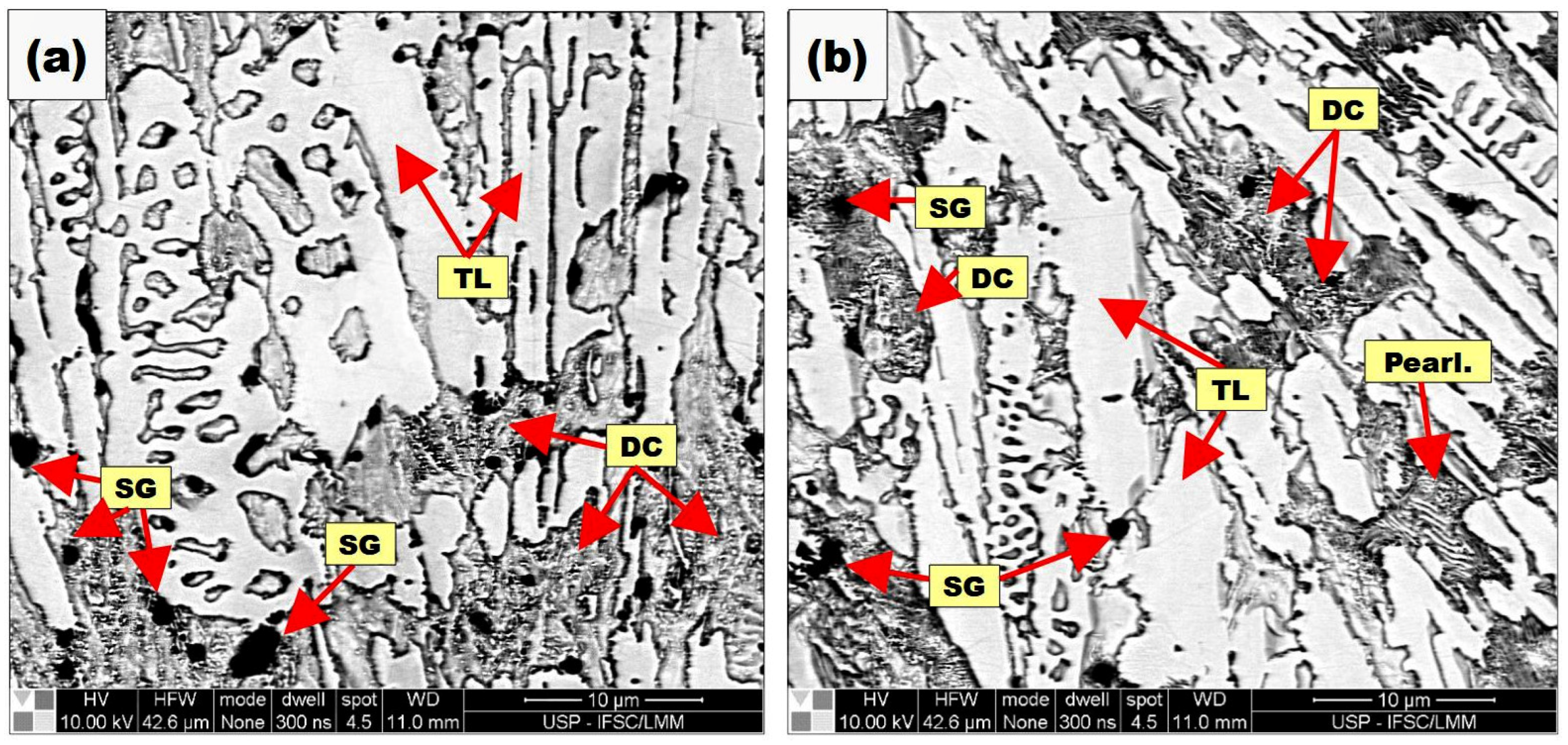 Coatings 13 01137 g013