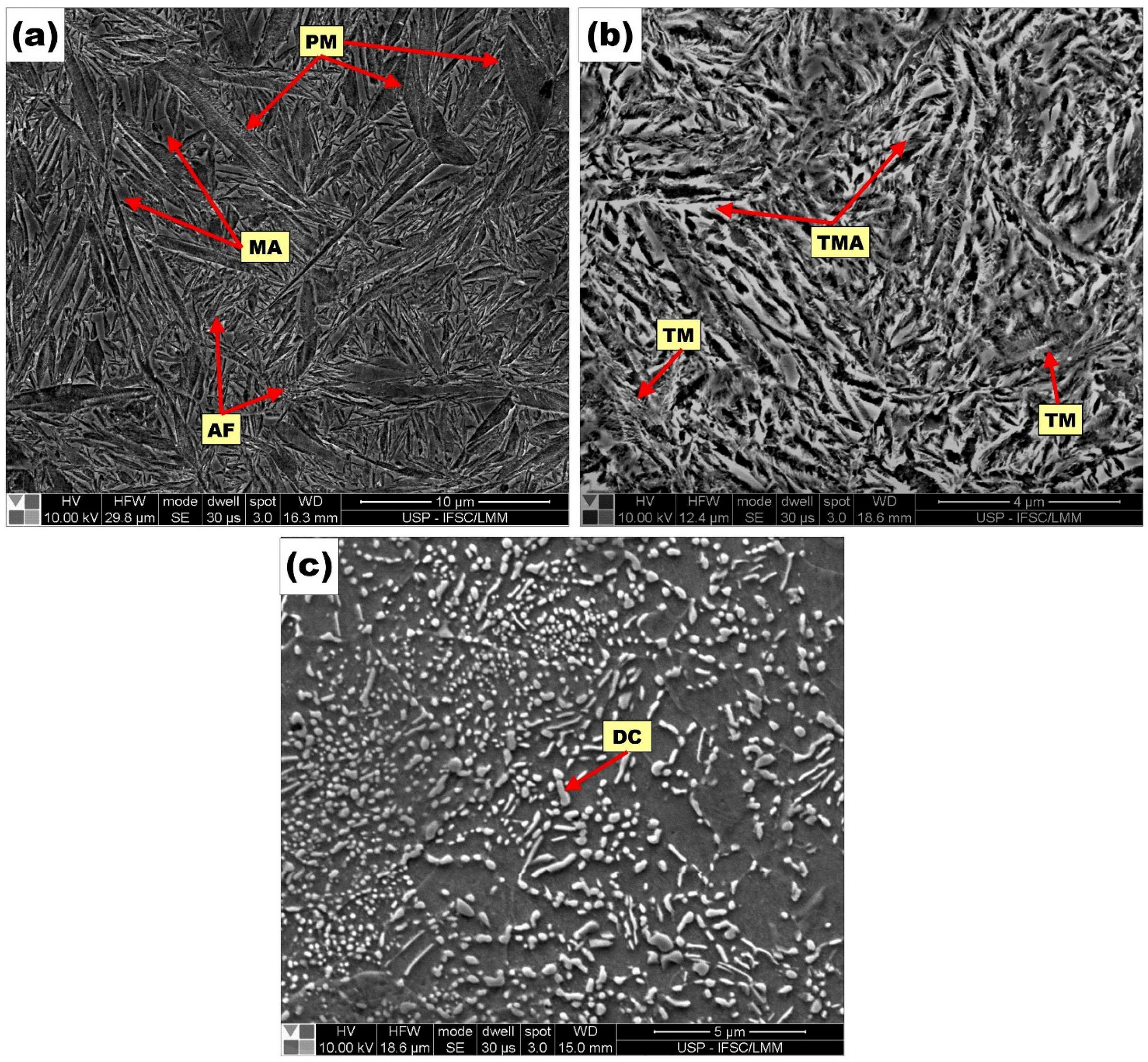 Coatings 13 01137 g016