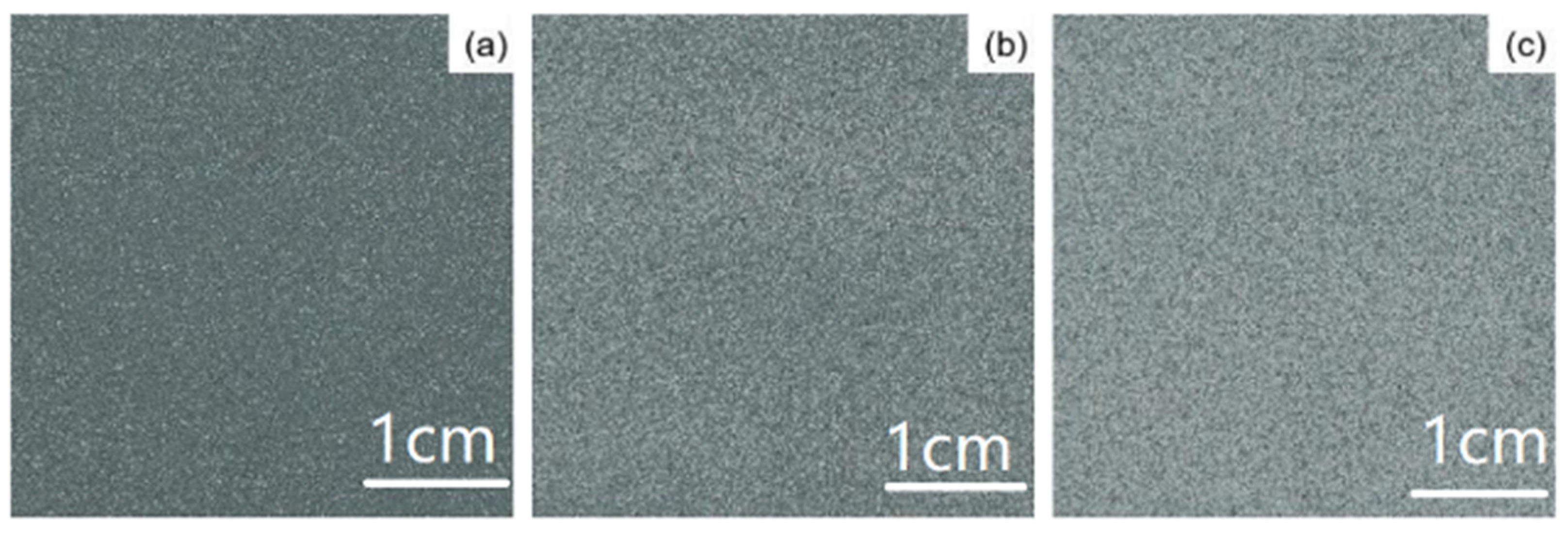 Coatings 13 01139 g001