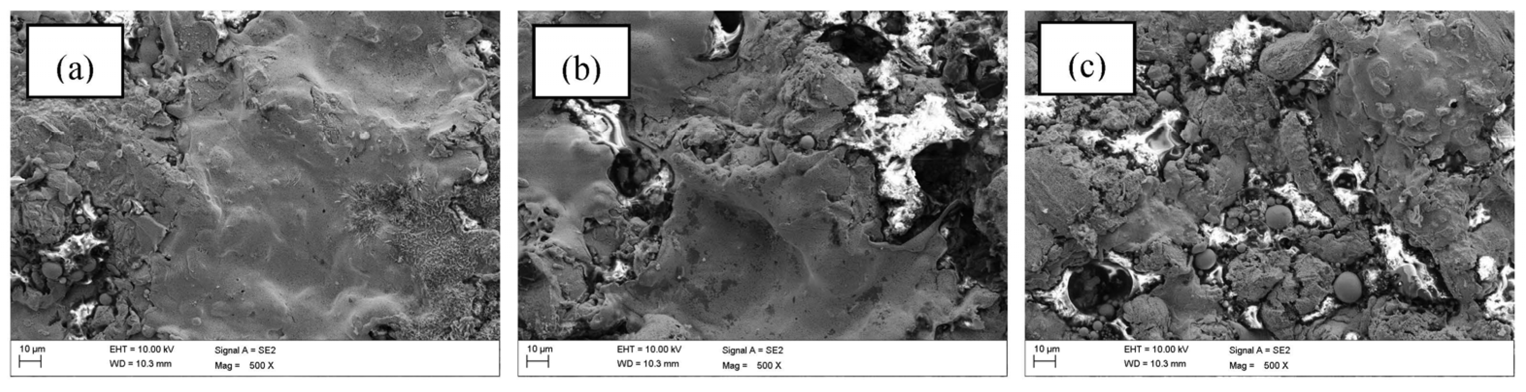 Coatings 13 01139 g005