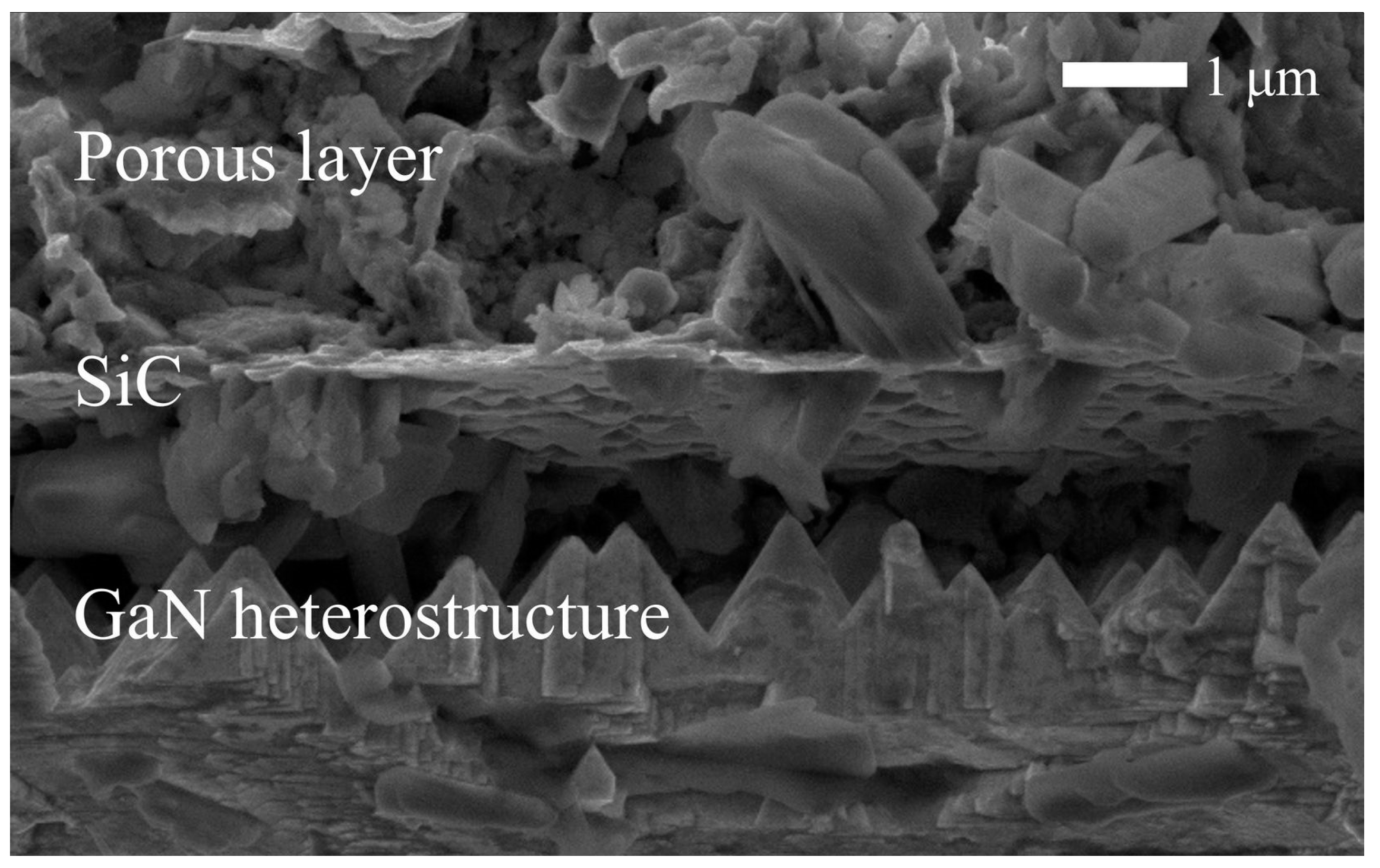 Coatings 13 01142 g009
