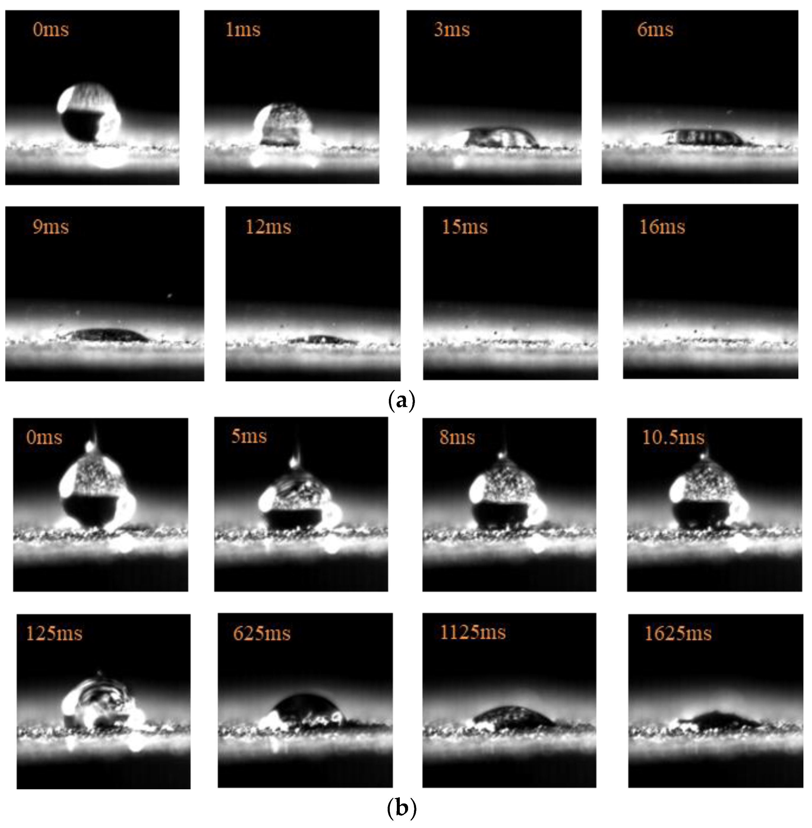 Coatings 13 01146 g002a Coatings 13 01146 g002a
