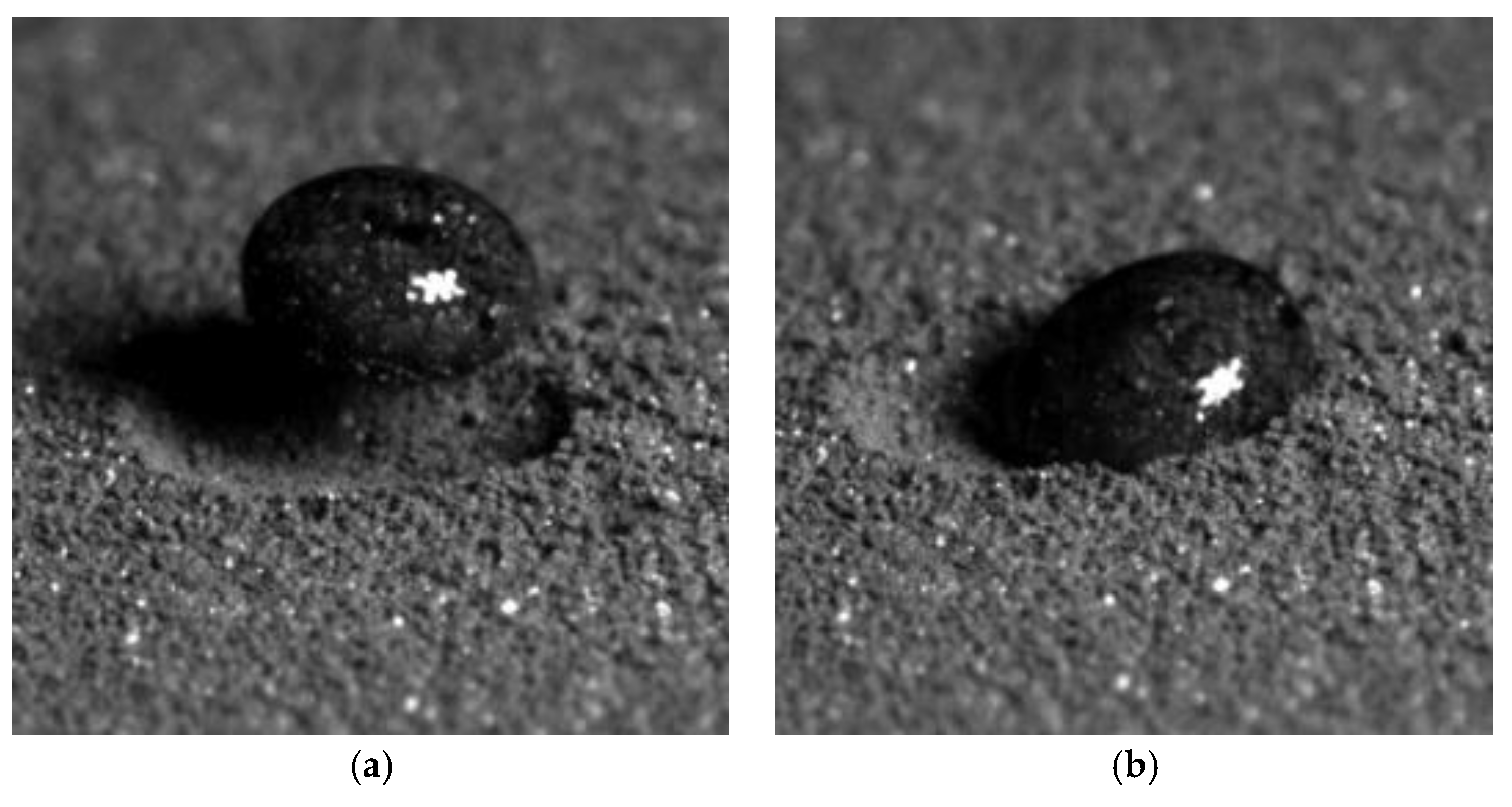 Coatings 13 01146 g011 Coatings 13 01146 g011