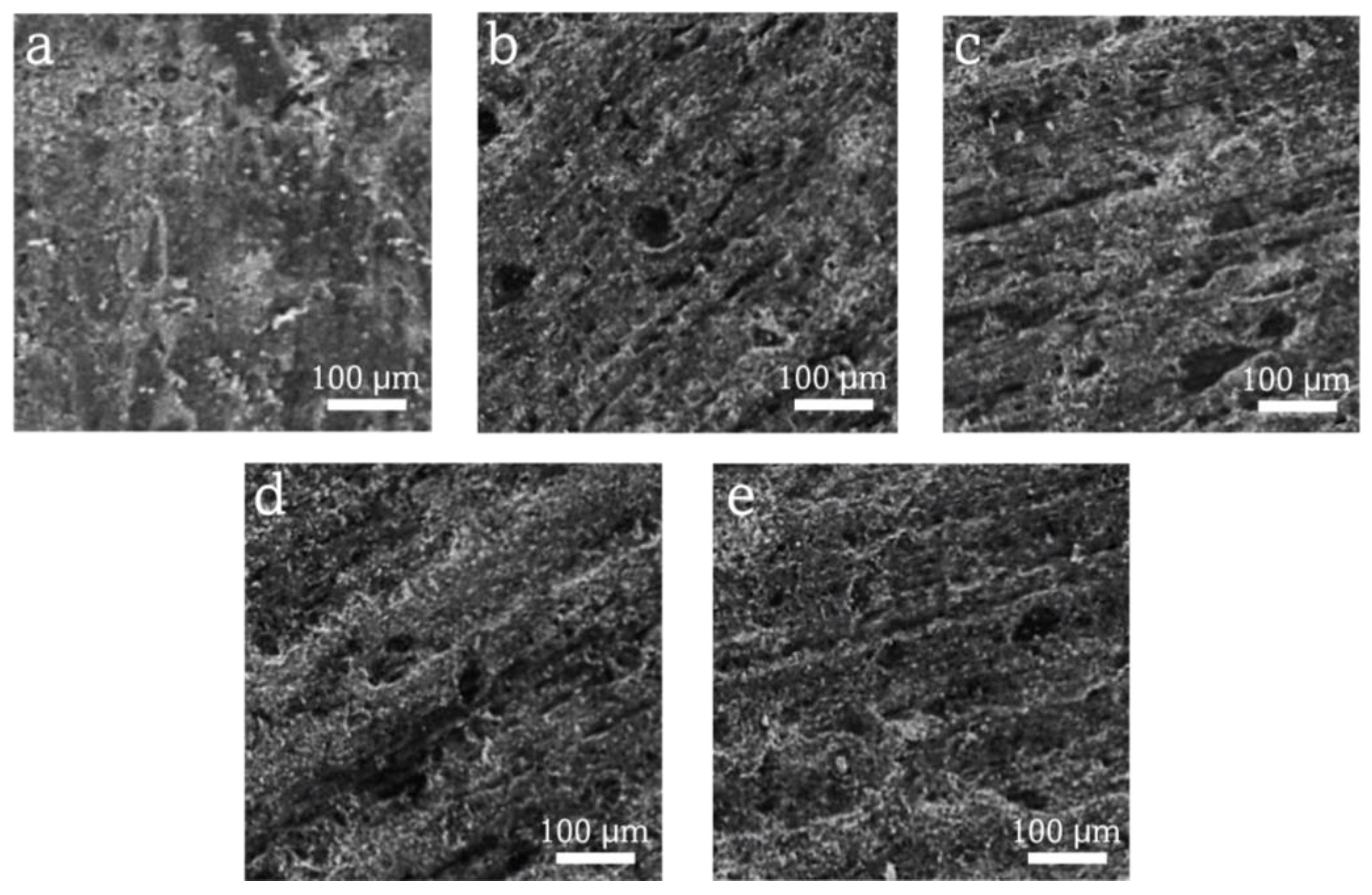 Coatings 13 01147 g006 Coatings 13 01147 g006