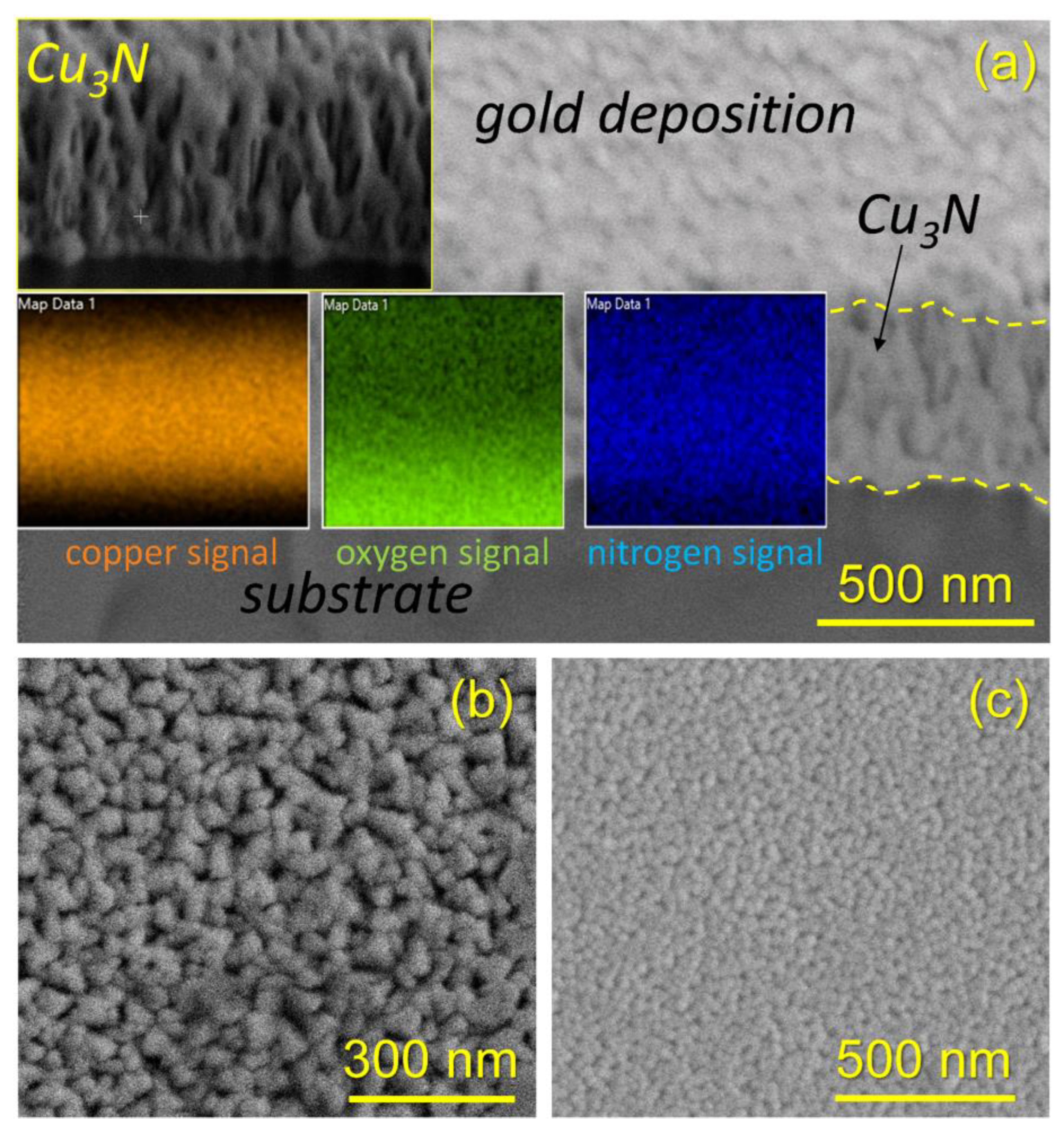 Coatings 13 01148 g004