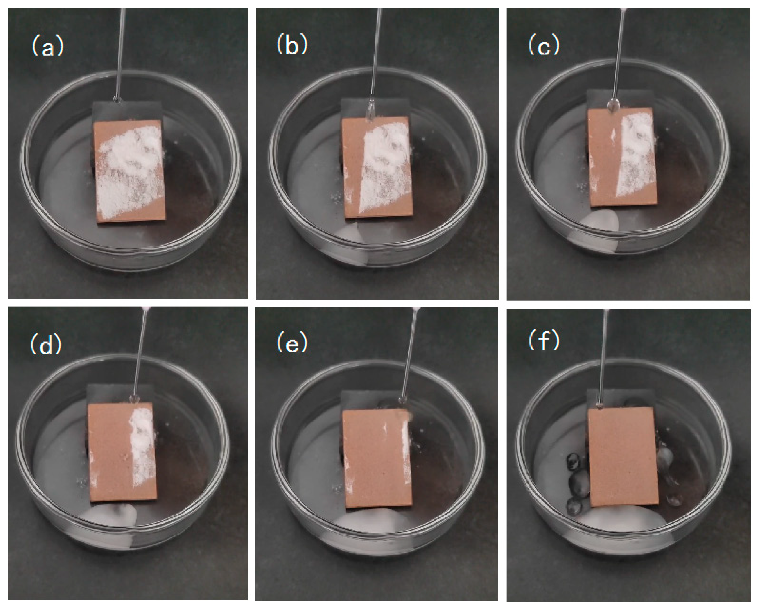 Coatings 13 01151 g010