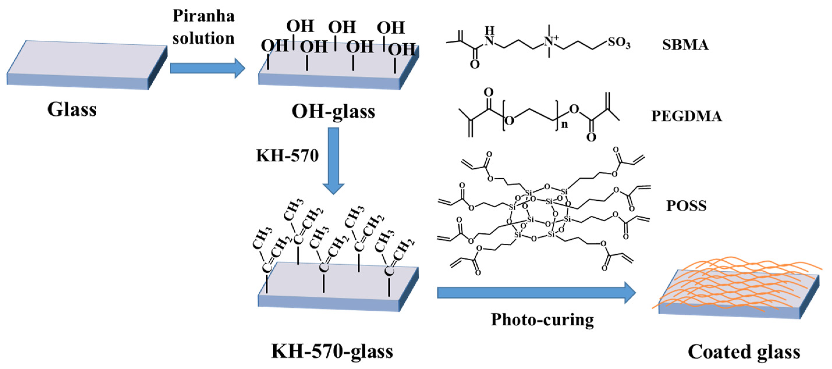 Coatings 13 01152 g001