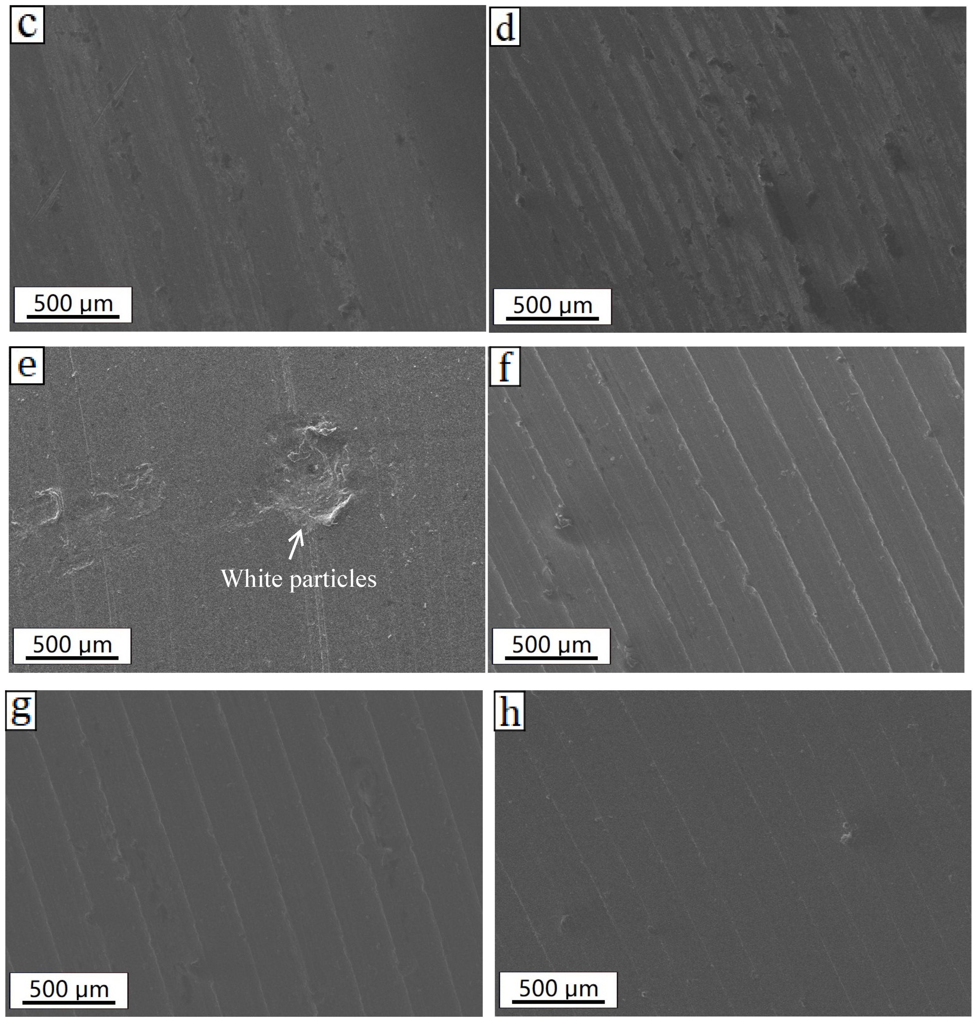 Coatings 13 01155 g012b
