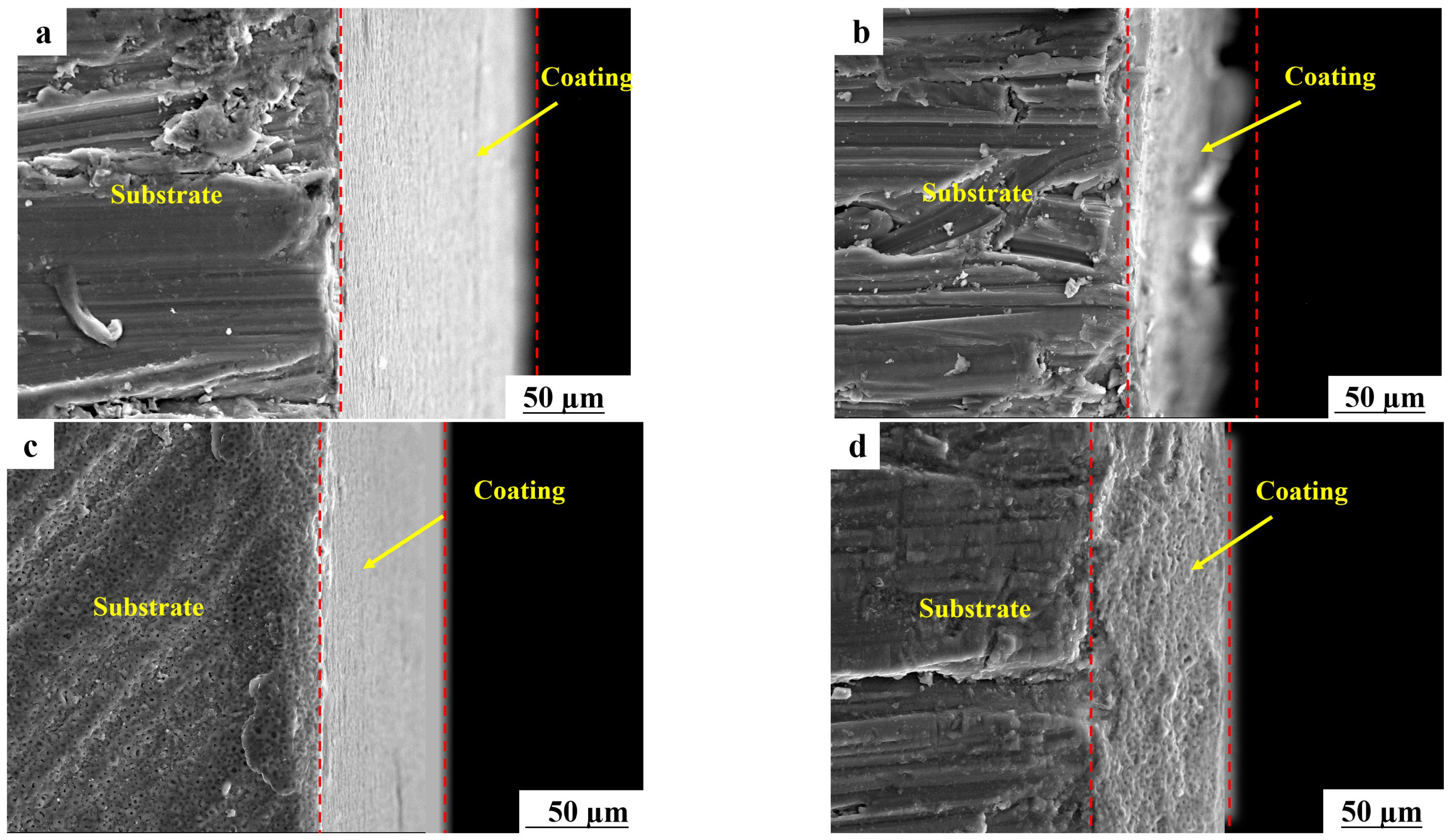 Coatings 13 01161 g003