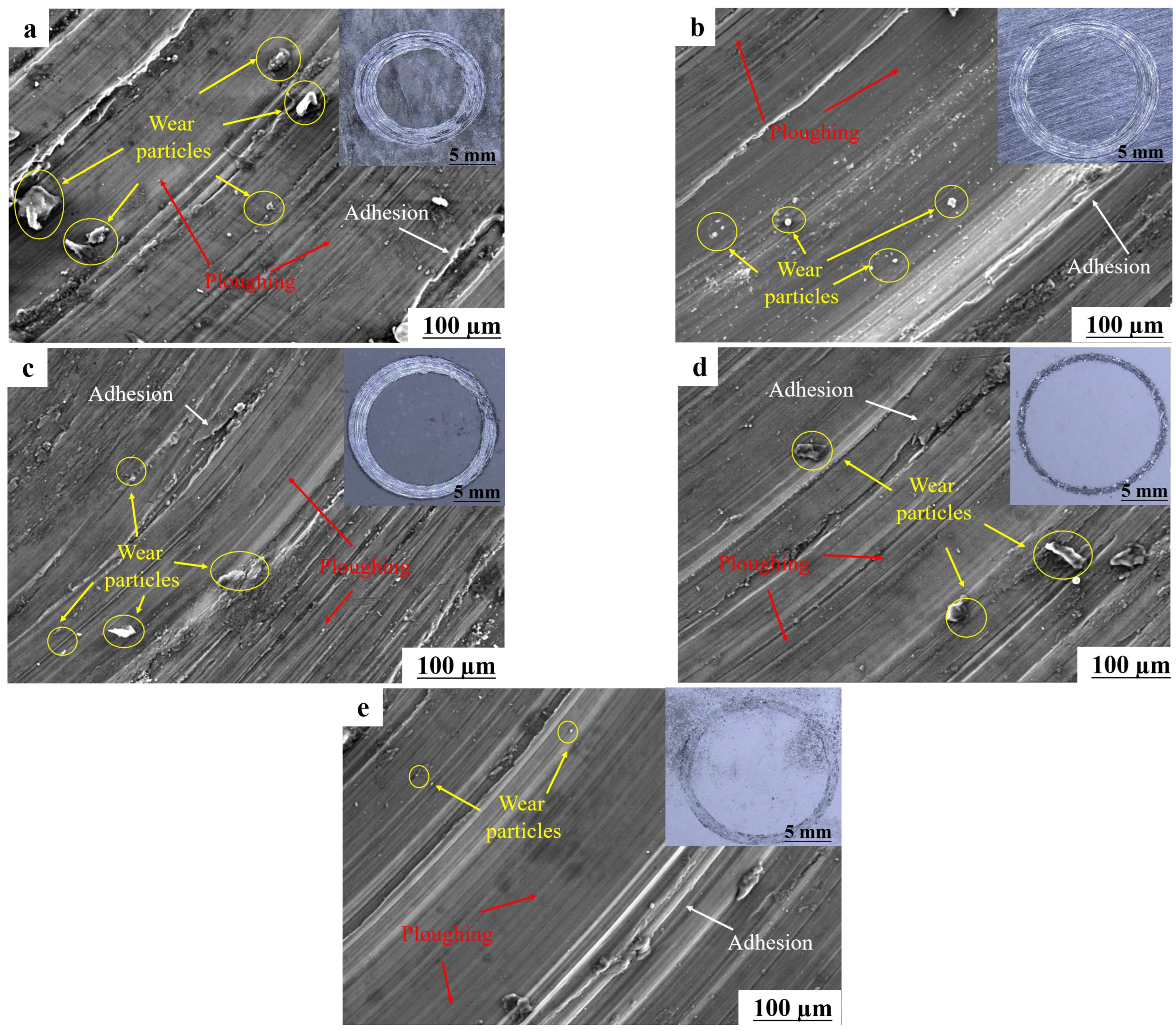 Coatings 13 01161 g009