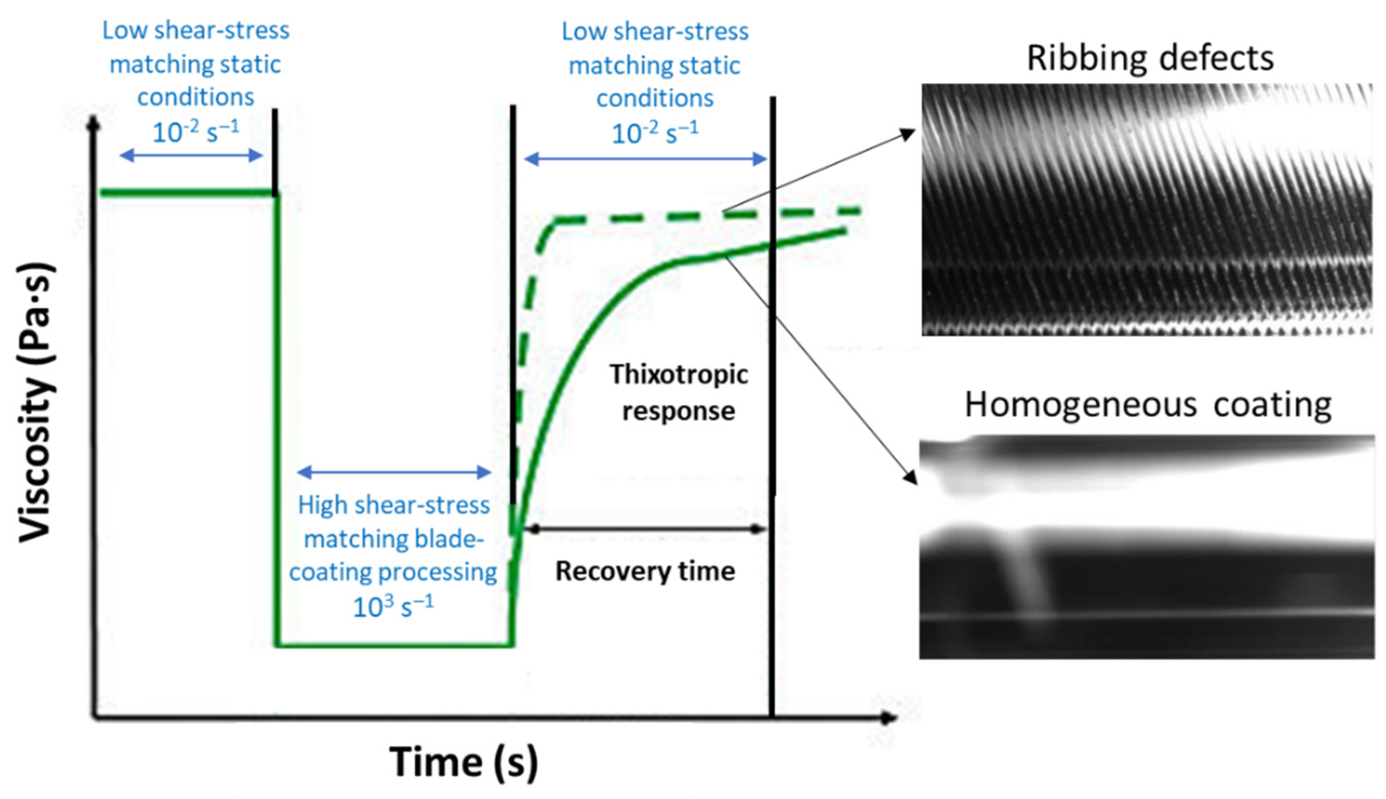Coatings 13 01164 g023