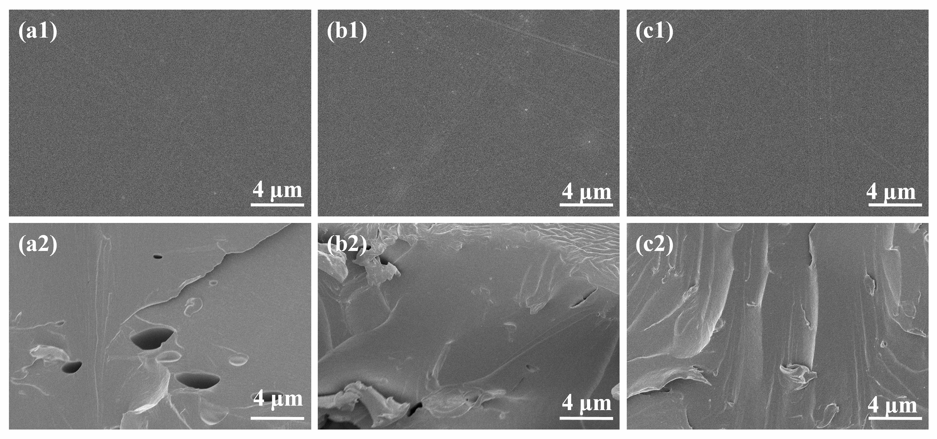 Coatings 13 01166 g009 Coatings 13 01166 g009
