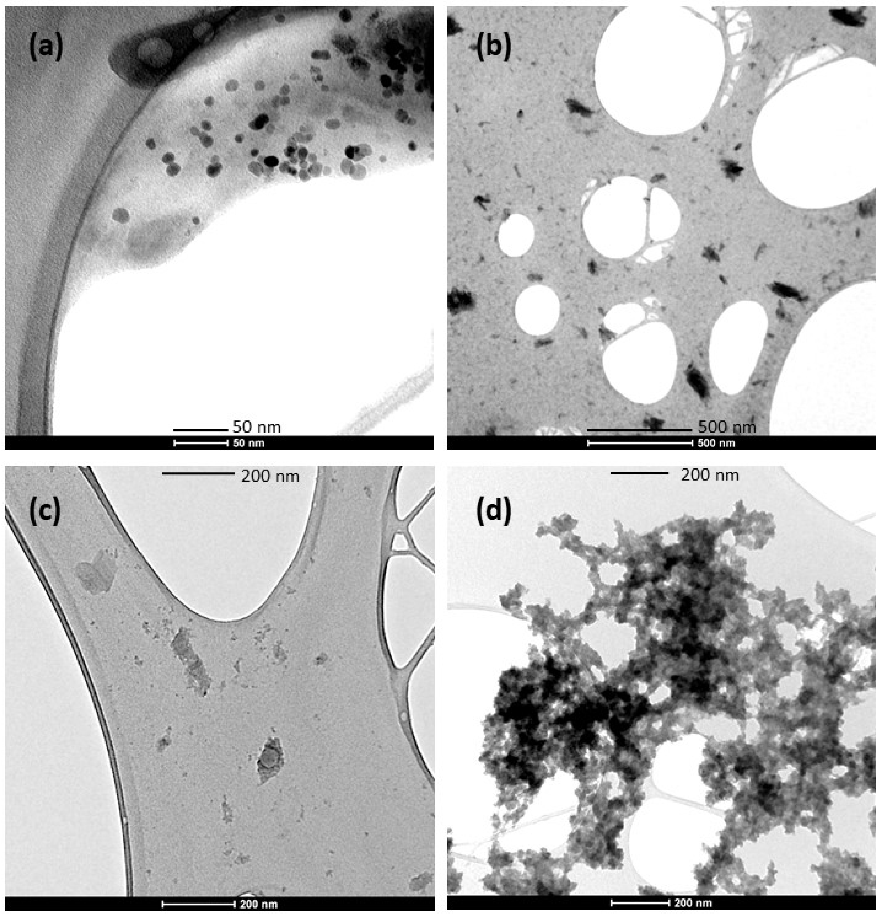 Coatings 13 01169 g001 Coatings 13 01169 g001