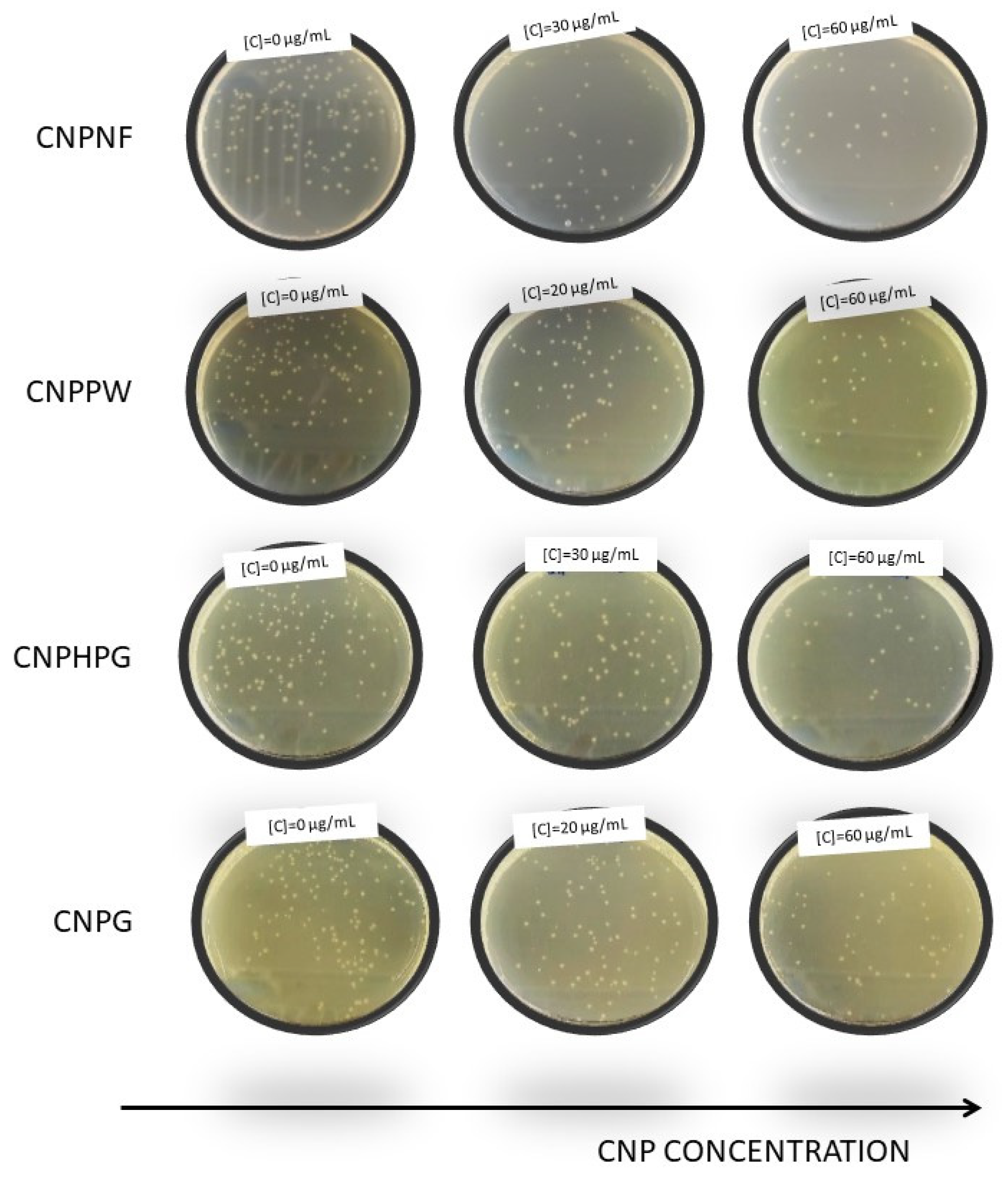 Coatings 13 01169 g002 Coatings 13 01169 g002