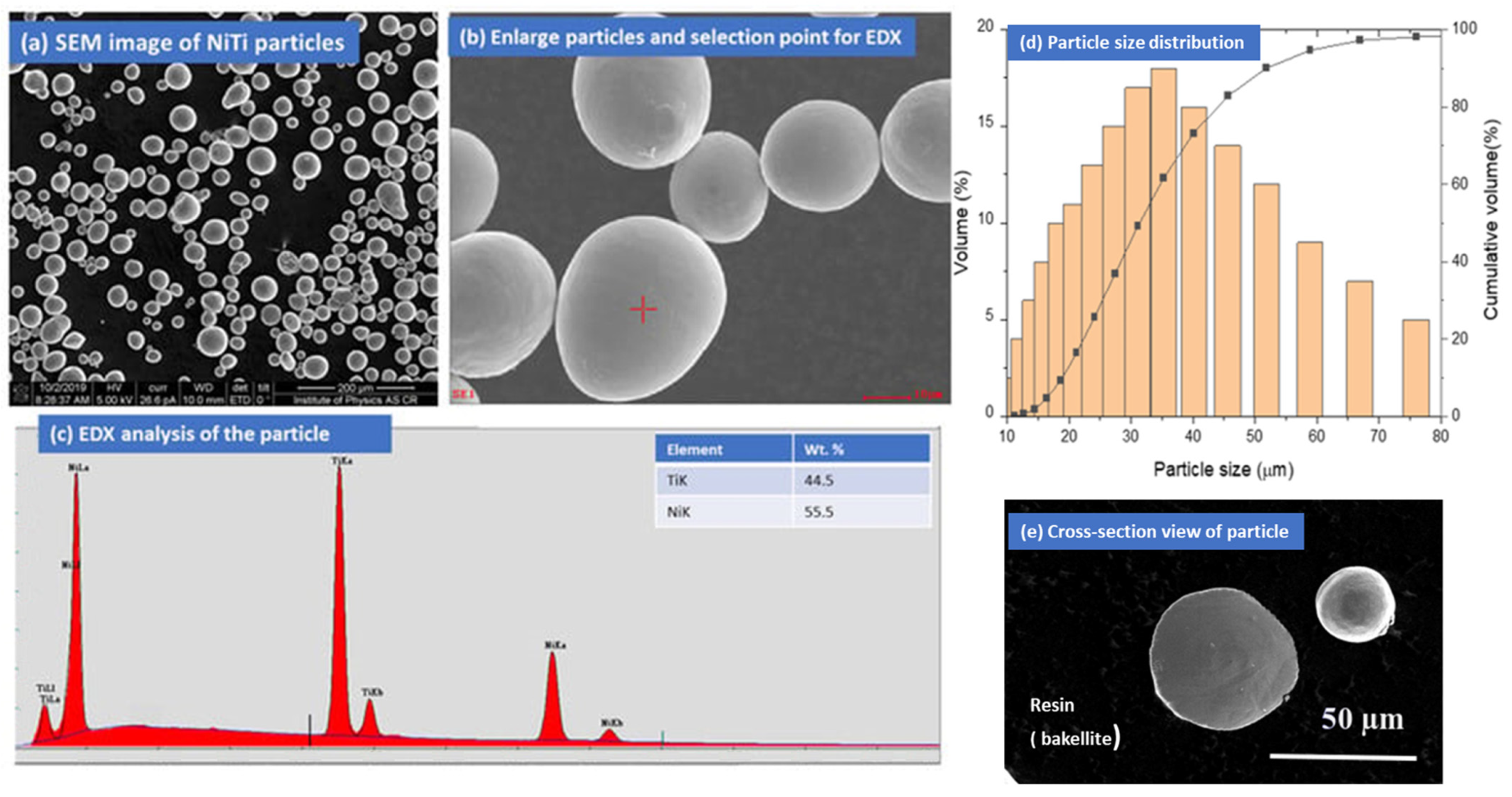 Coatings 13 01174 g001
