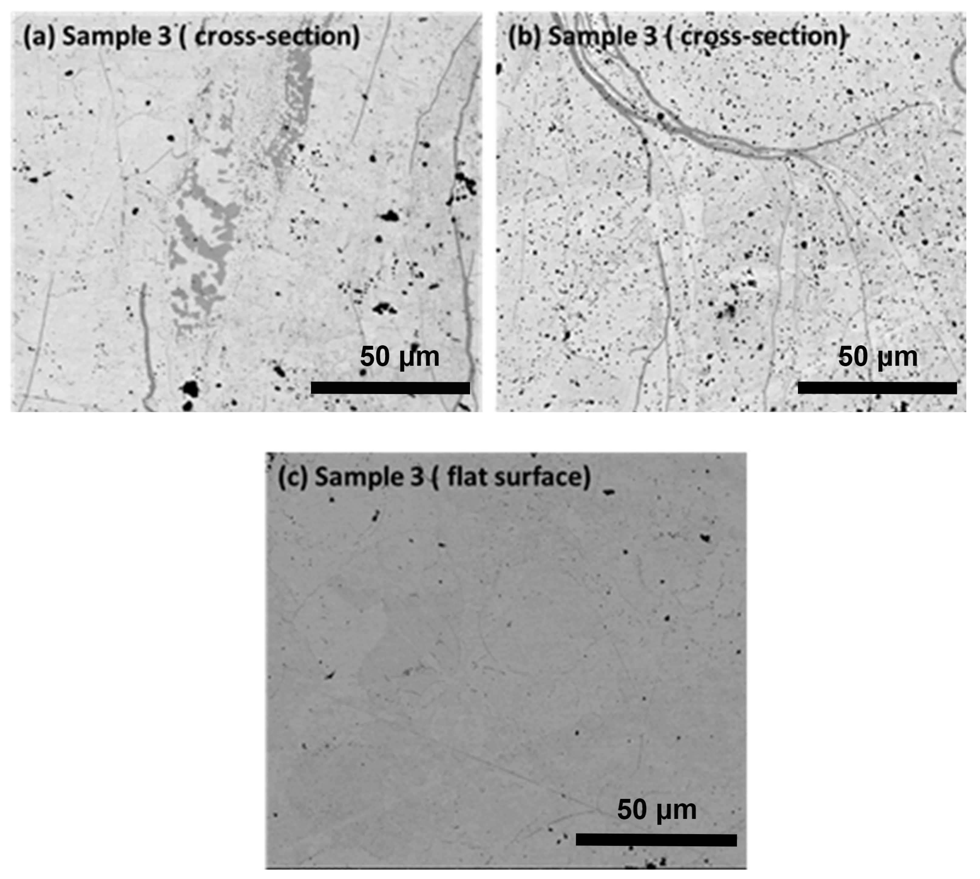 Coatings 13 01174 g004