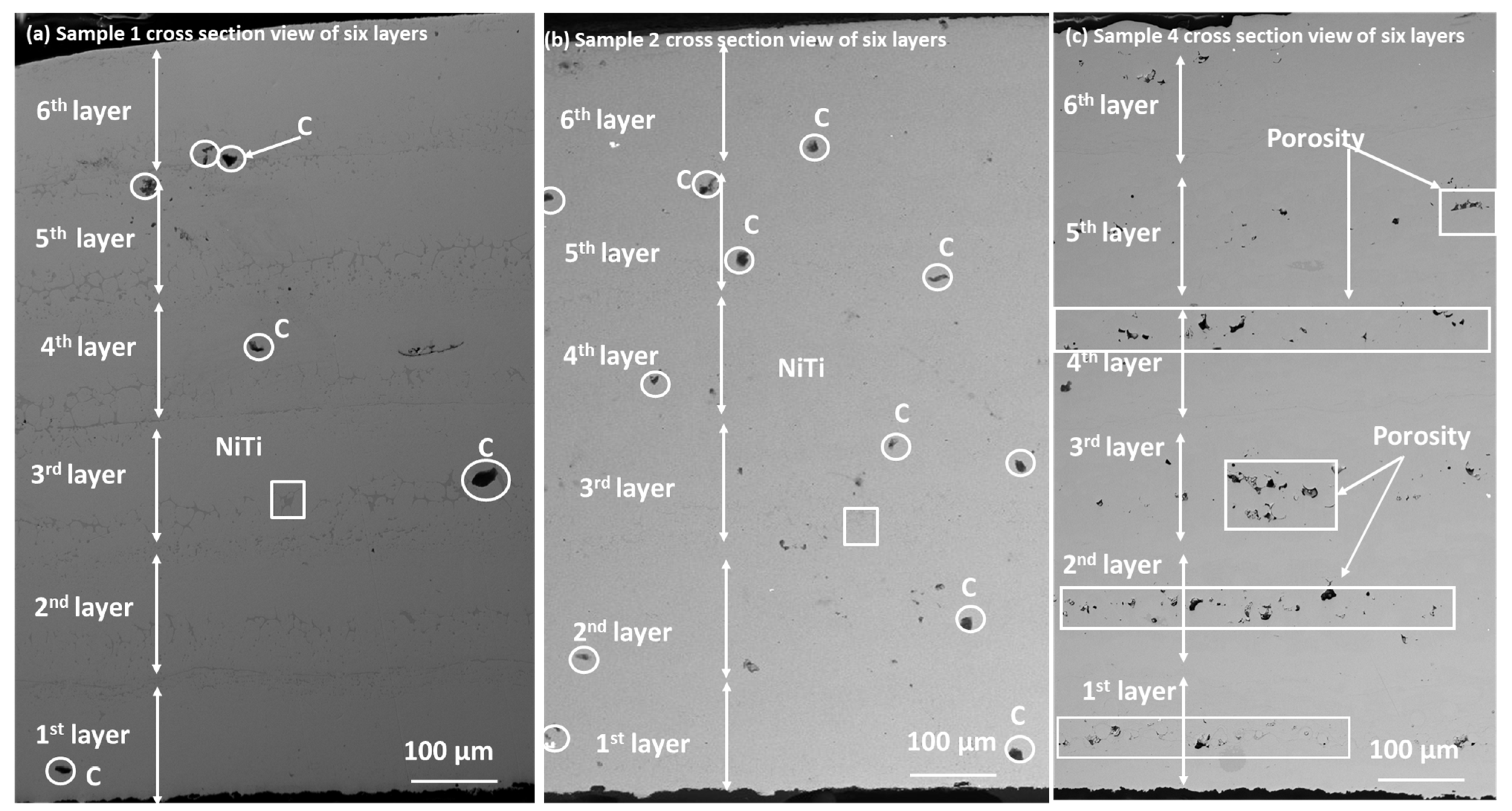 Coatings 13 01174 g010