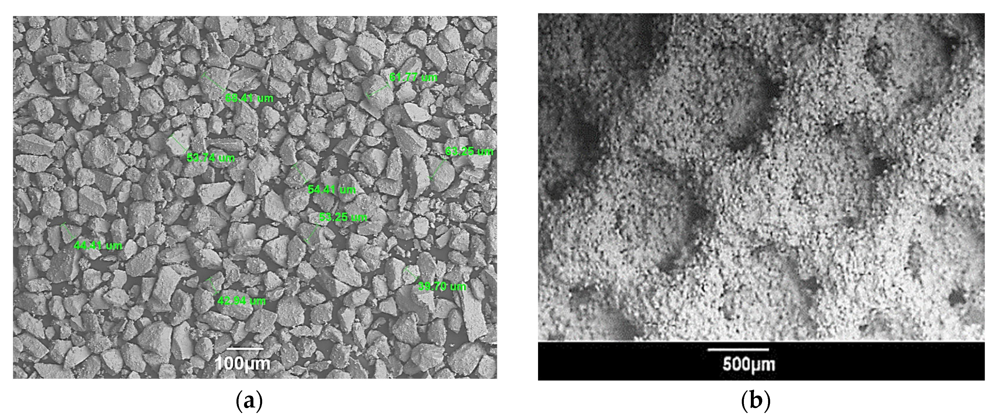 Coatings 13 01175 g005
